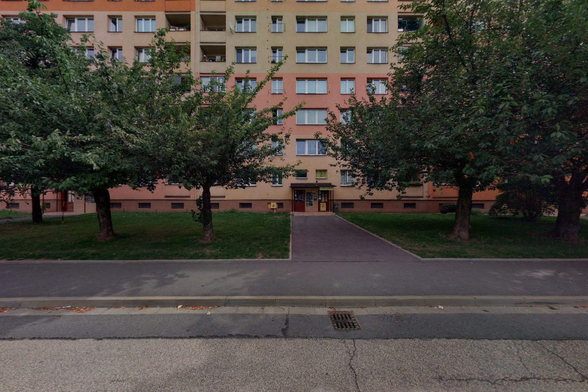 Stříhání psů - Těžká Lucie