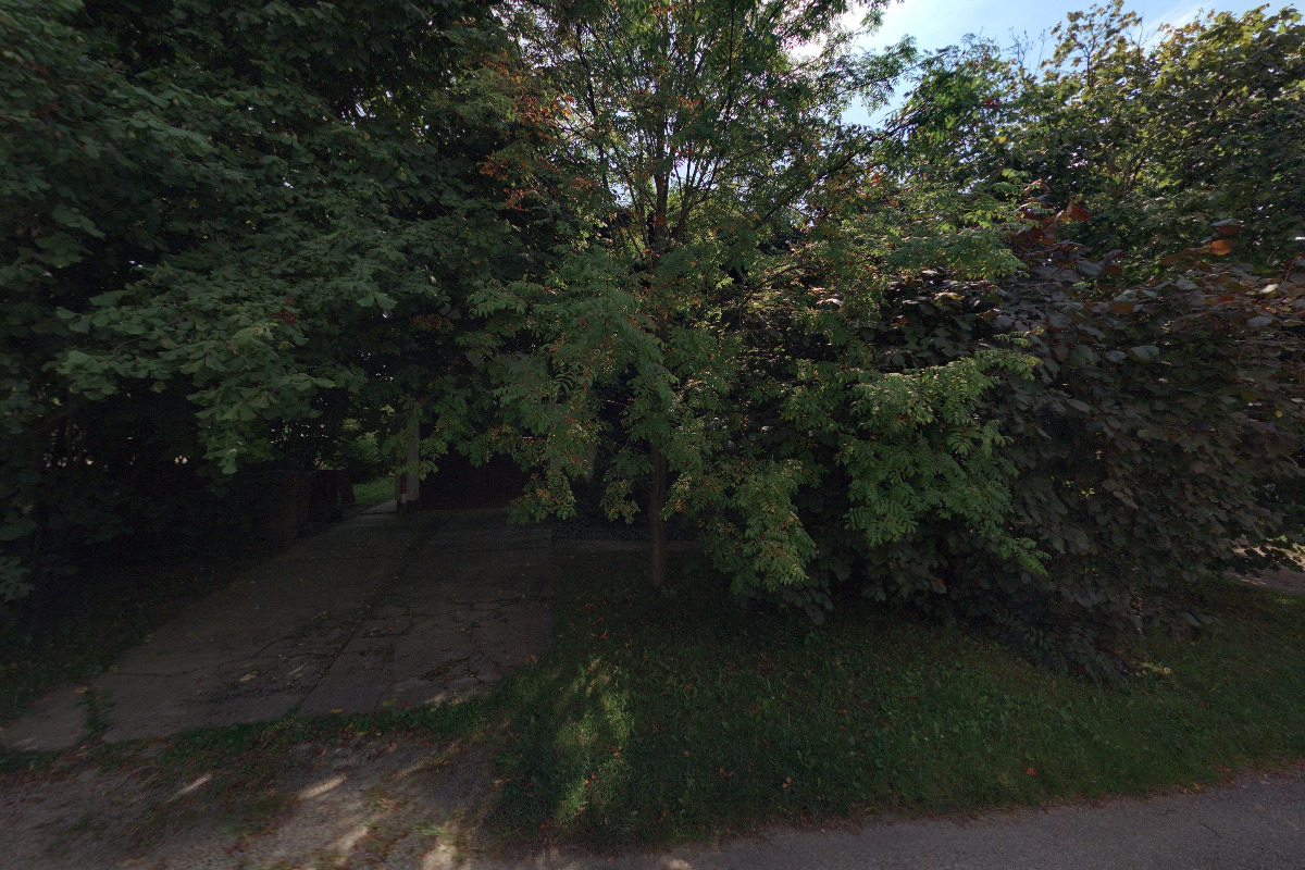 Ing. Josef Třeštík - TREE