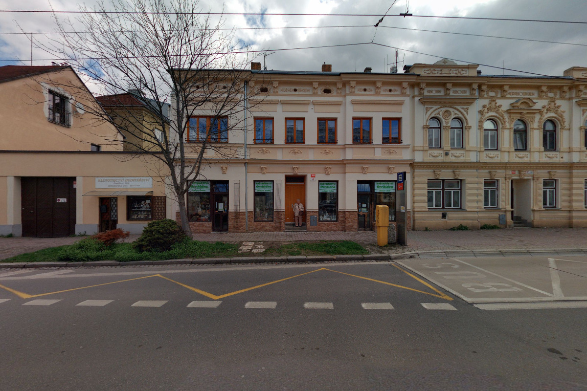 Drahoslava Vobořilová - ORCHIDEA foto 2