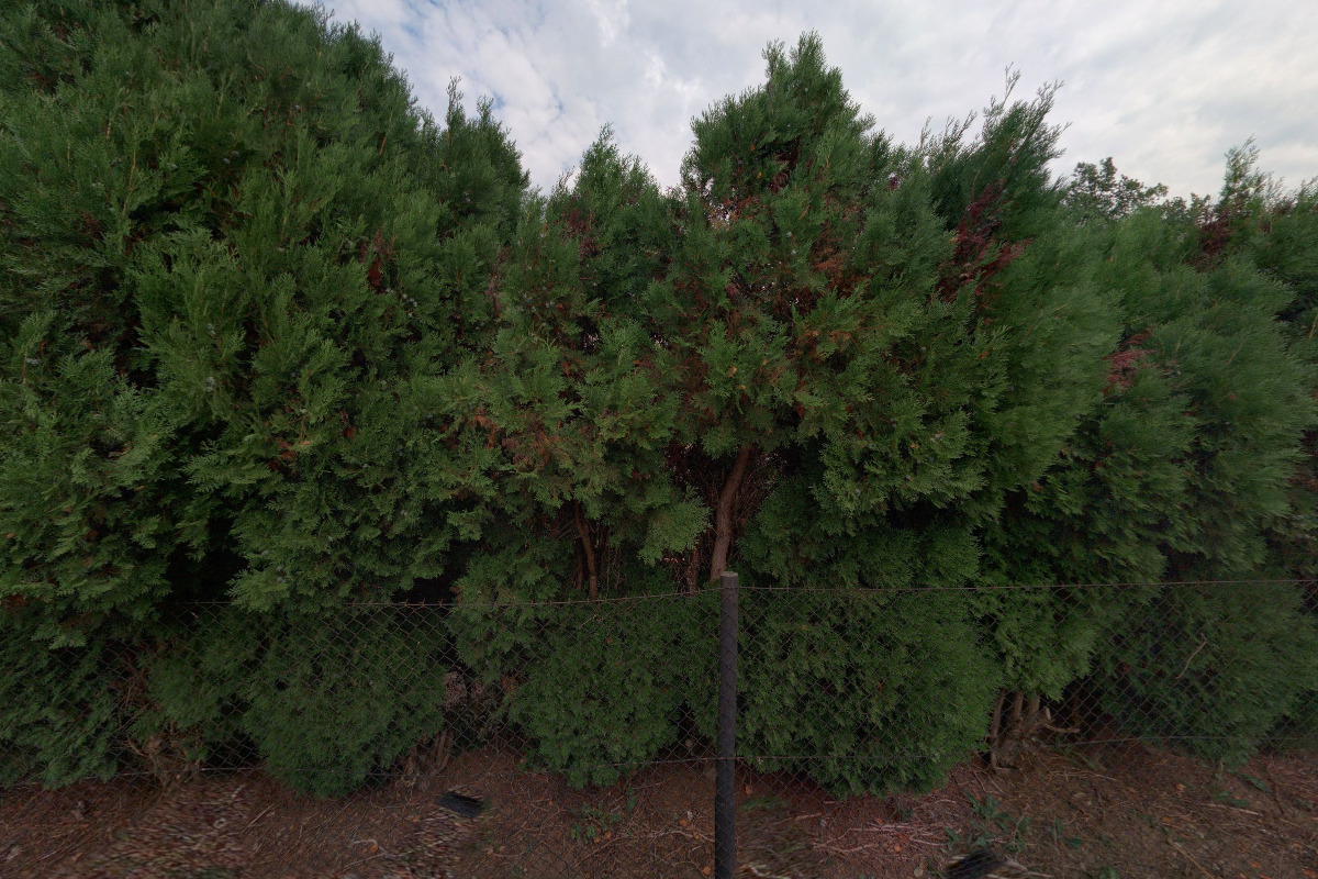 Radovan Střelec - ovocnářství