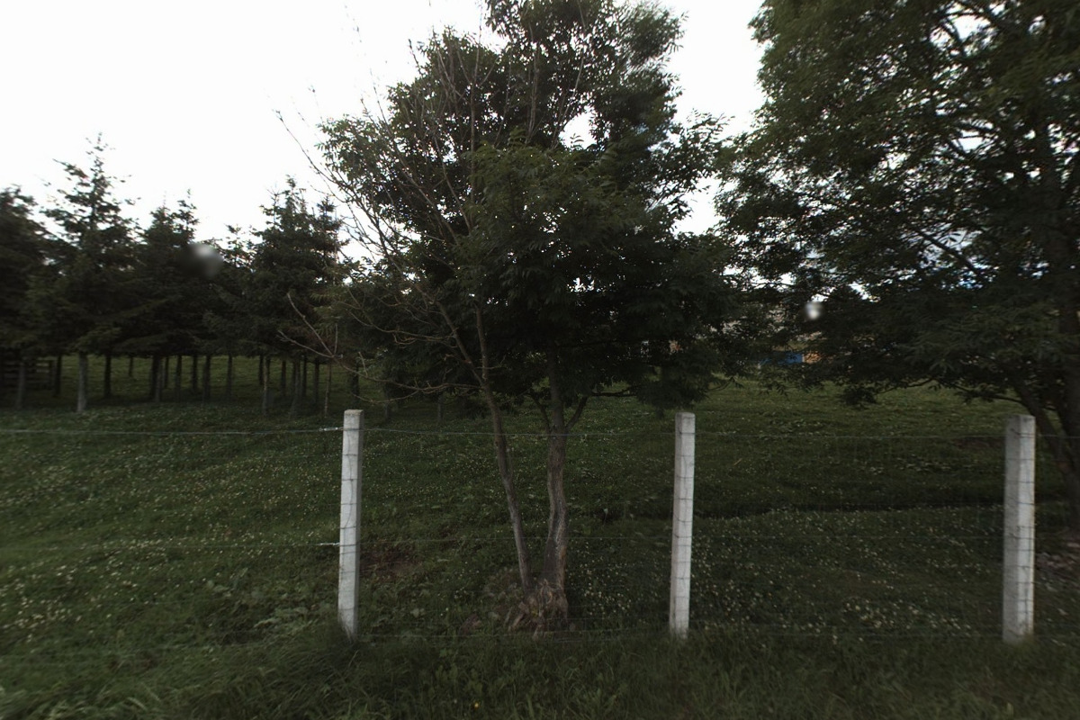 Bellama, spol s r.o.