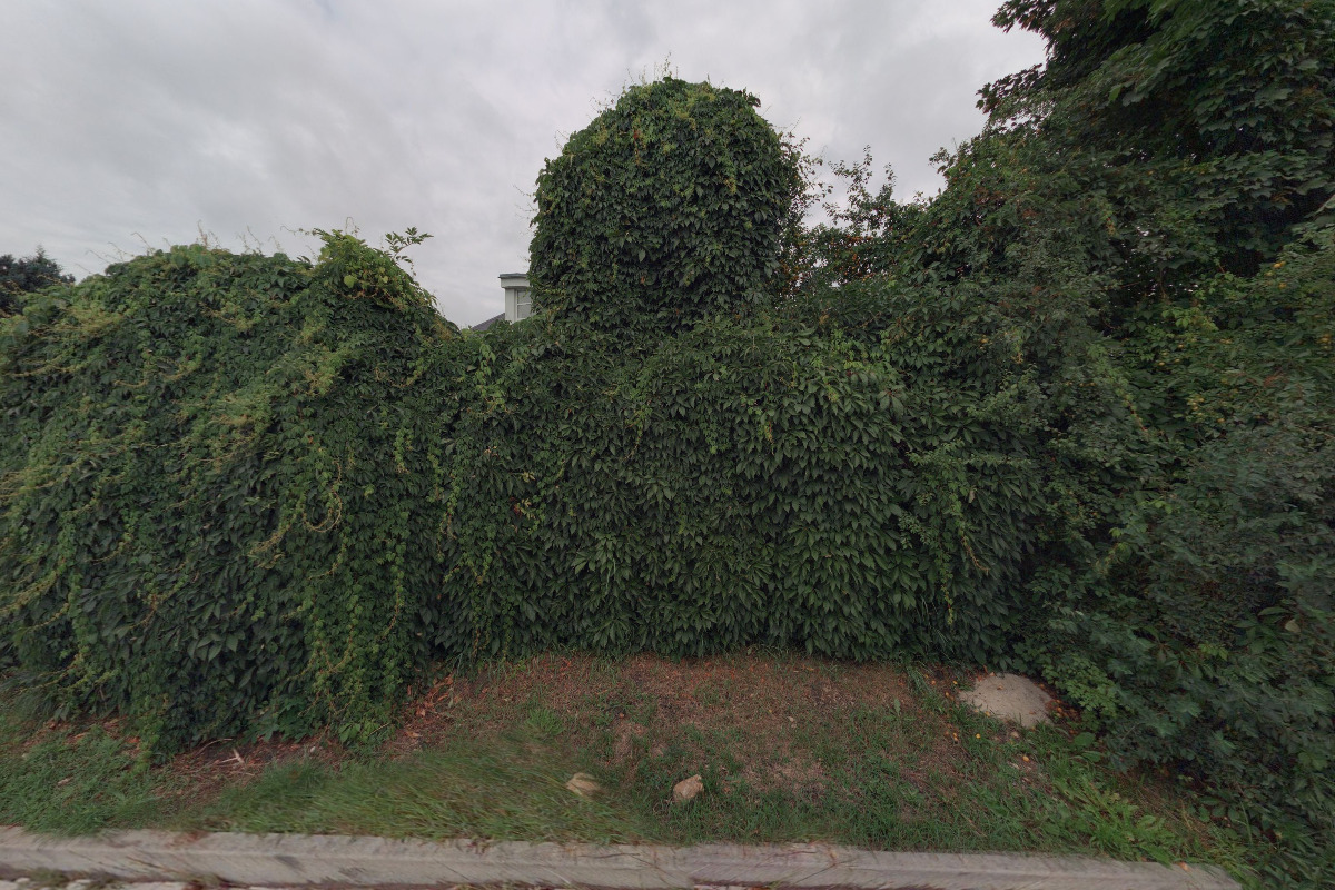 Ing. arch. Dagmar Polcarová