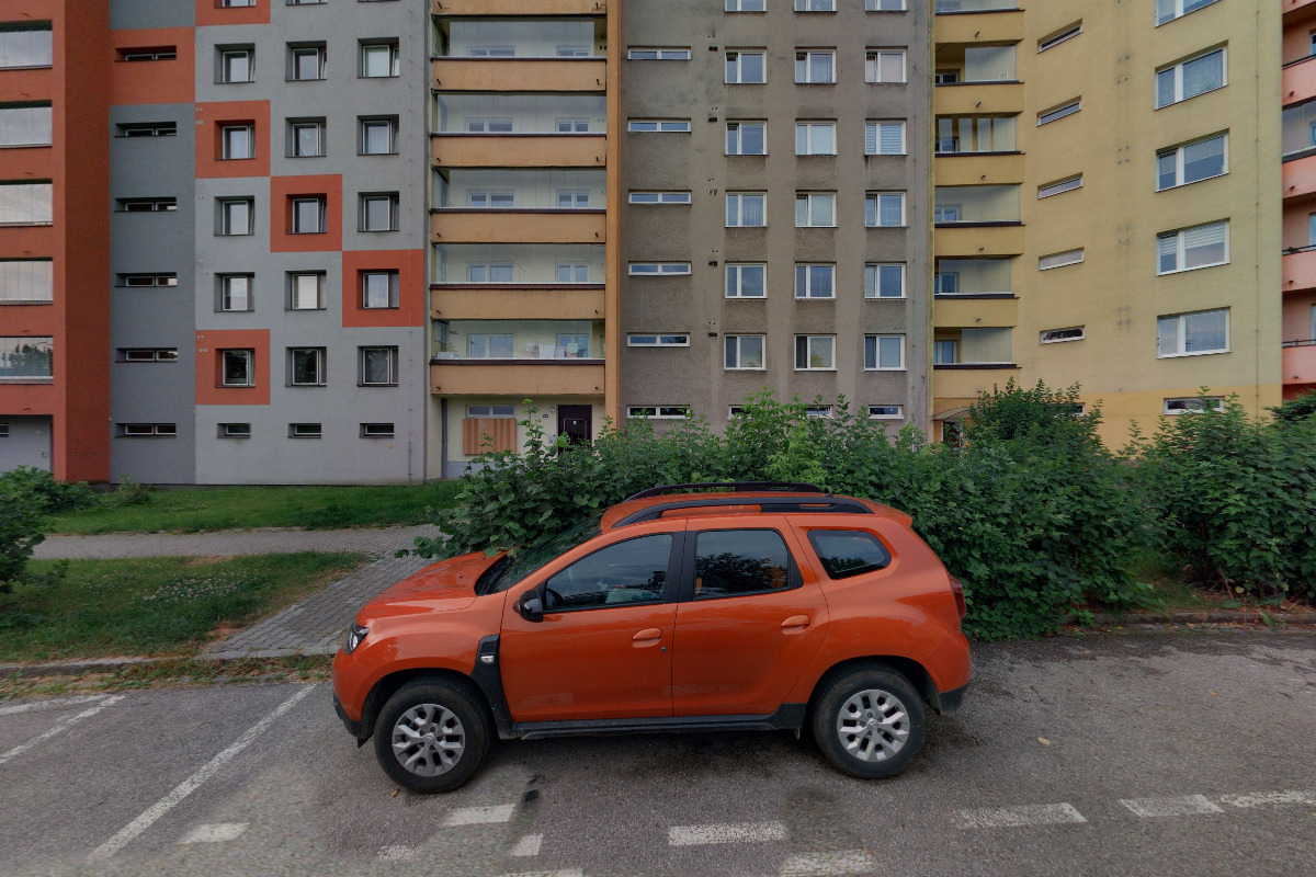 Vášnivá Čtenářka foto 2