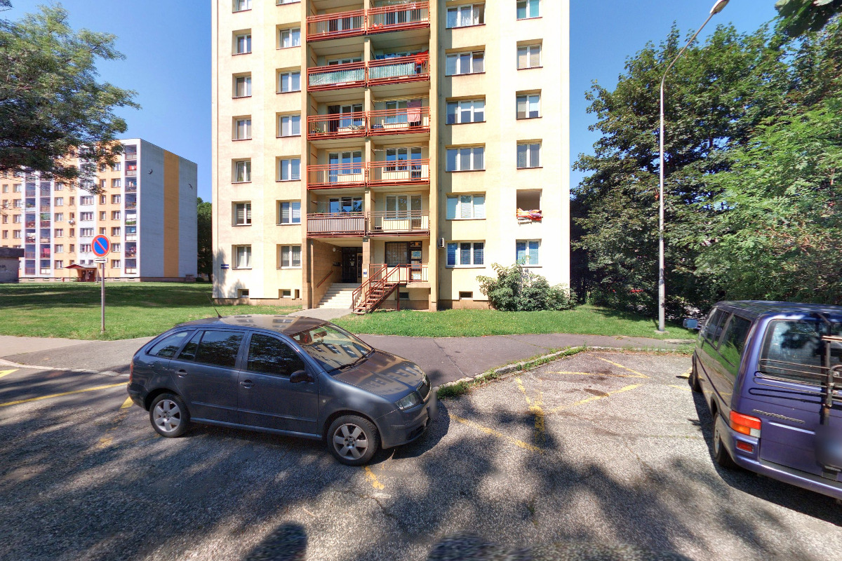 Transplantace vlasů Turecko foto 2