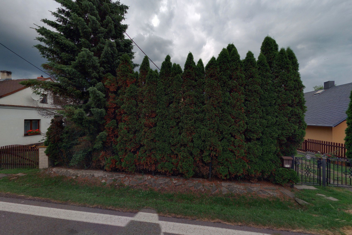 Video-Foto Studio Láryšov