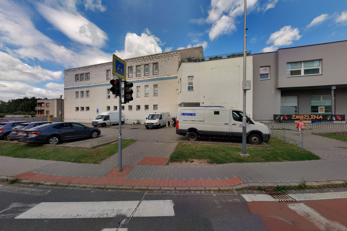 Květiny Margarita foto 2