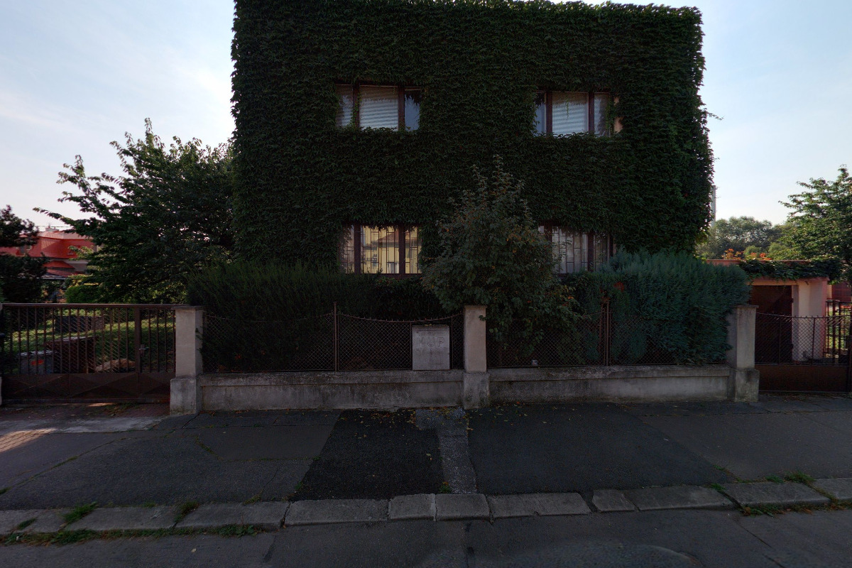 Sdružení pro umění a výchovu Talent foto 2