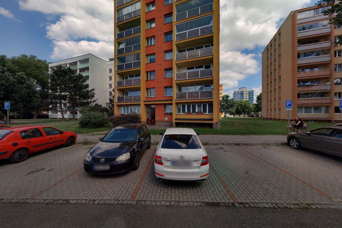 Elvis Presley Pavlevský