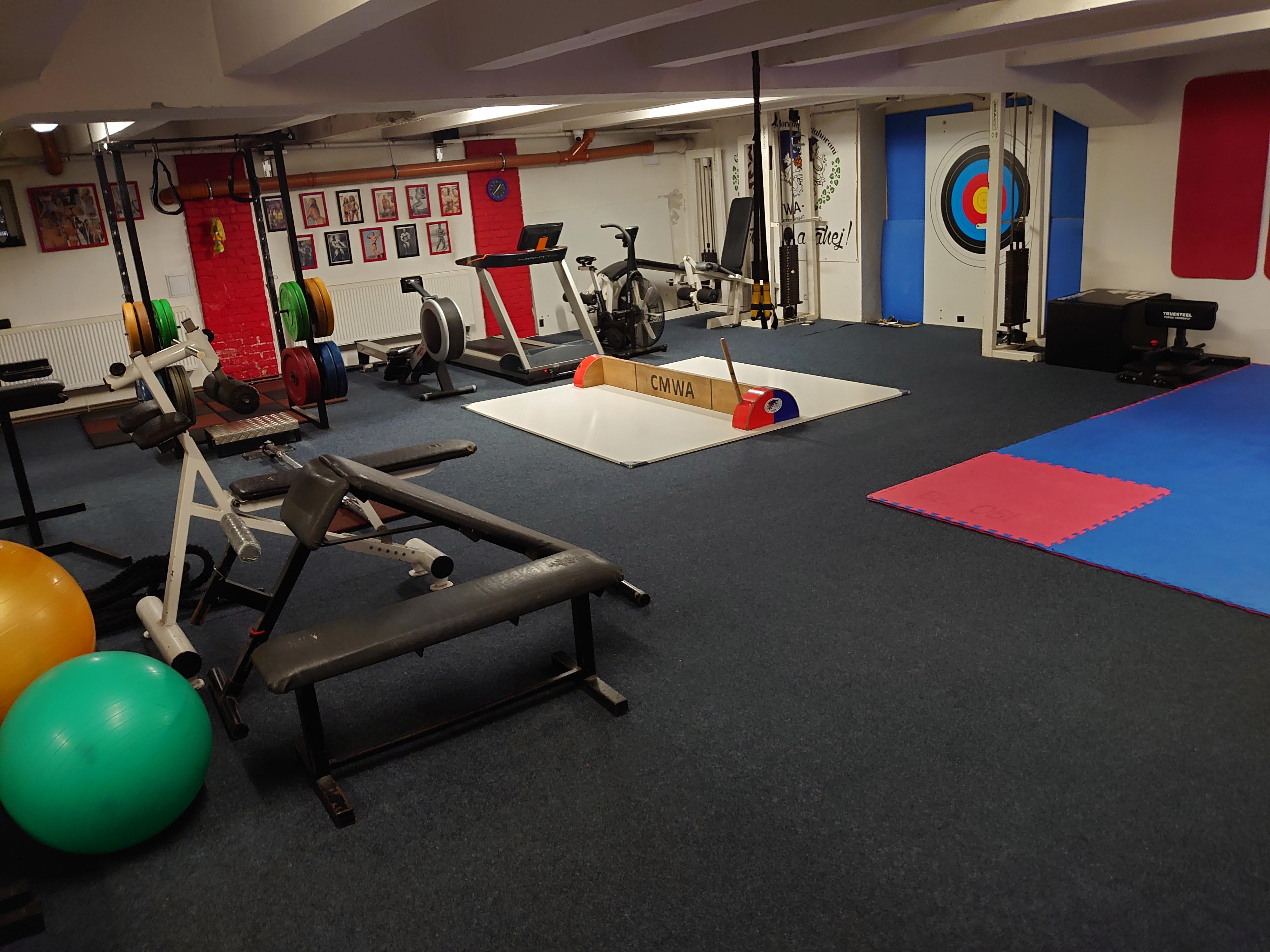 ČESKÁ ASOCIACE SILOVÉHO PŘETAHOVÁNÍ - CMWA foto 3