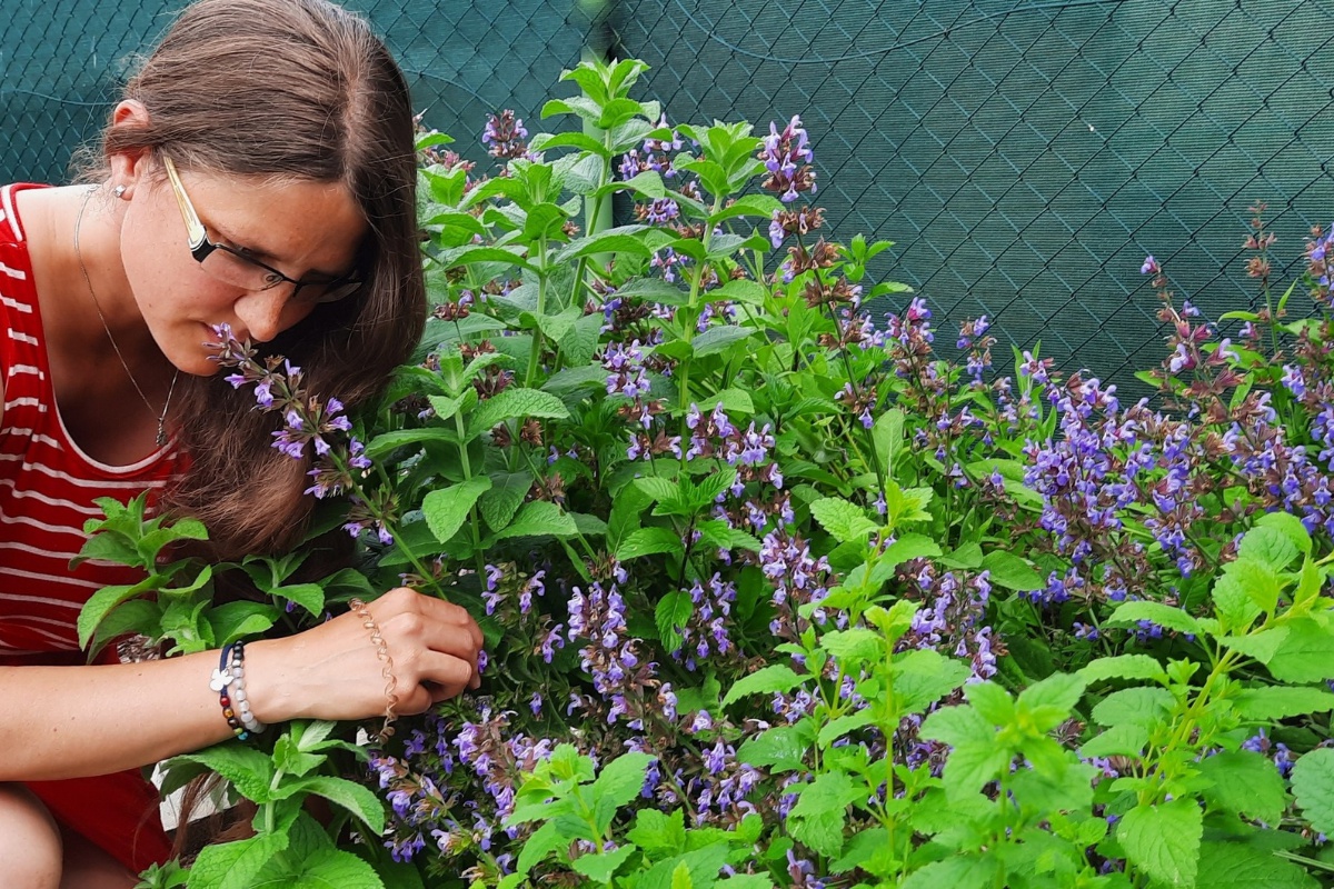 Klára Lee Demelová - Vaše bylinkářka