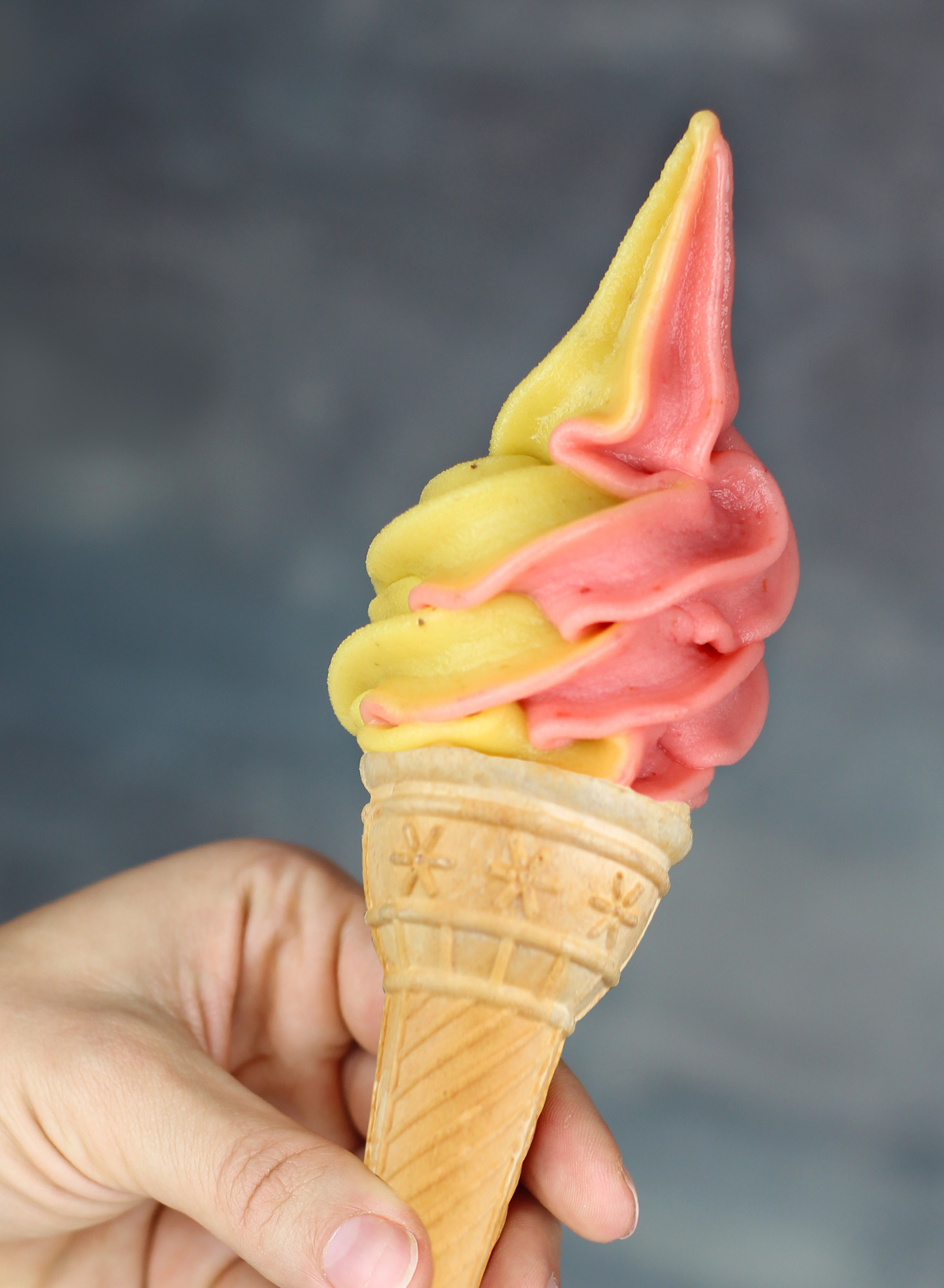 OVOCNÝ SVĚTOZOR foto 4