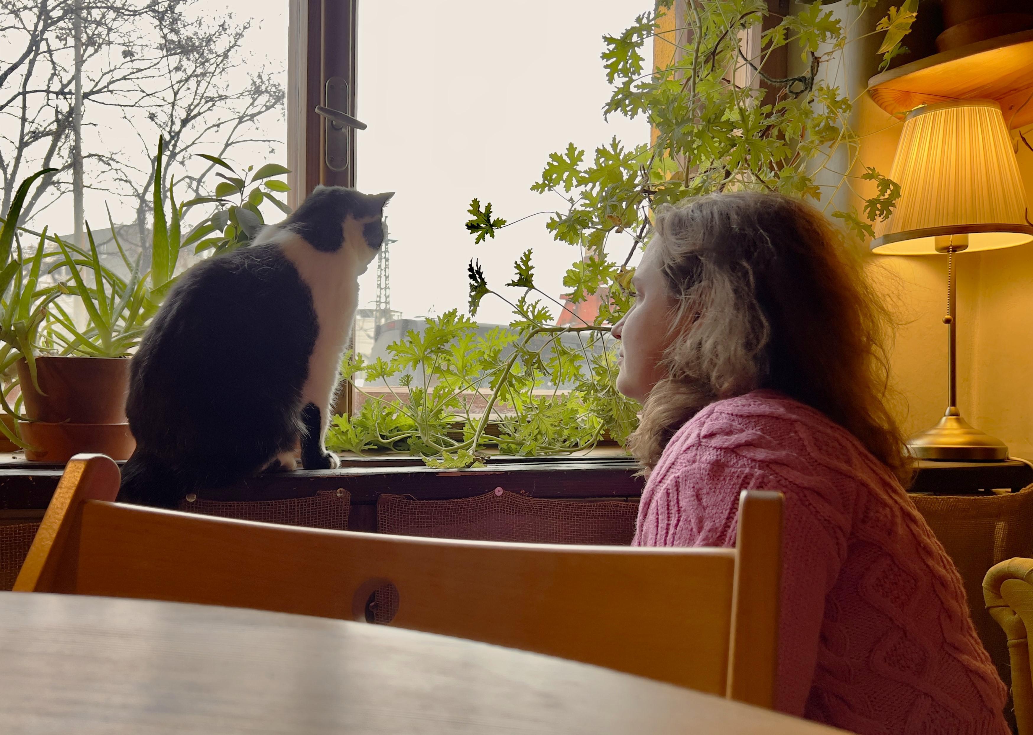 Kočičí polepšovna Kateřiny Štiblické foto 3