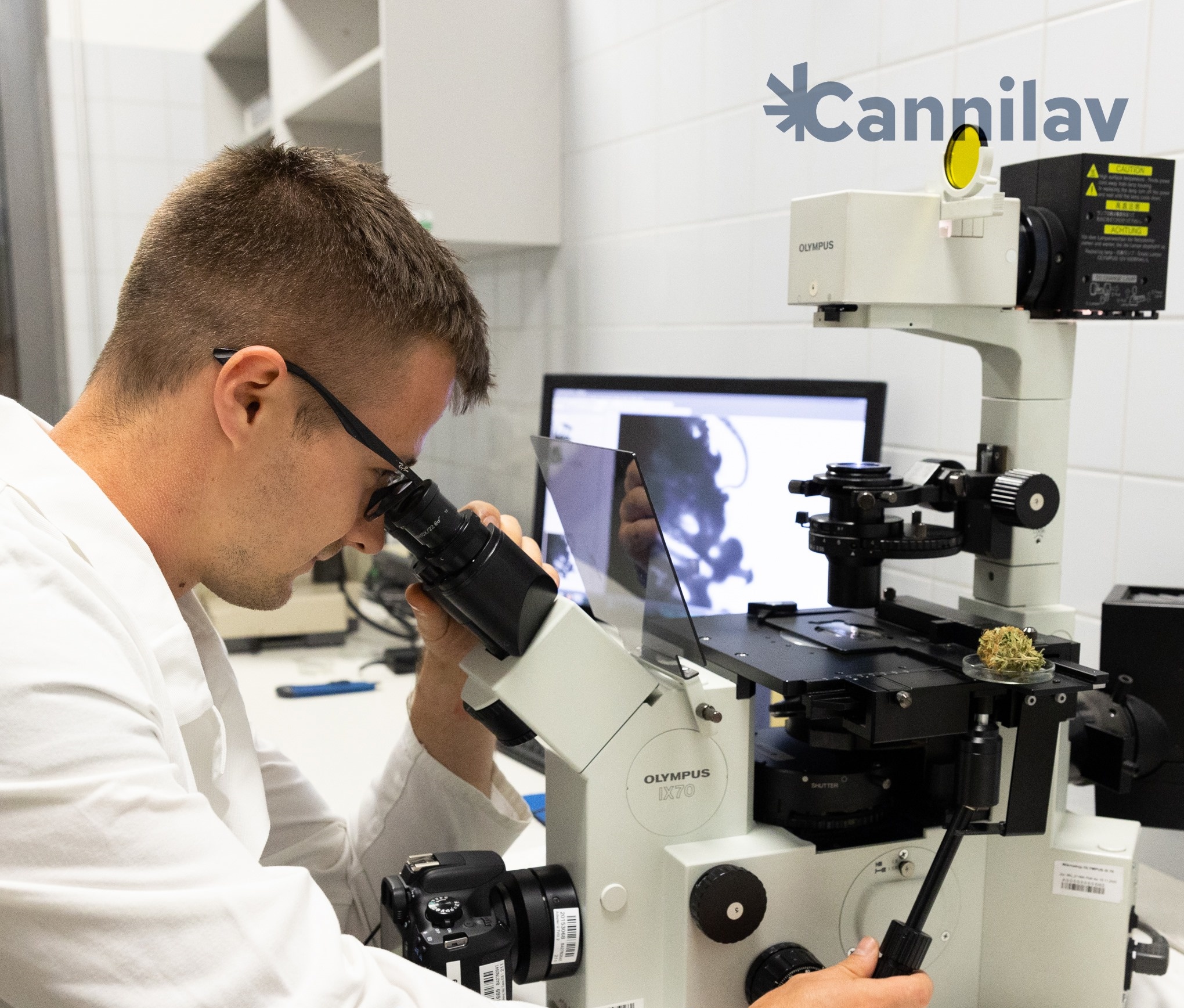 Cannilav.com foto 3