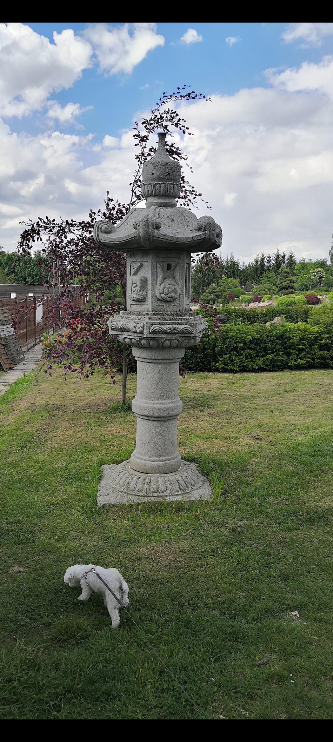 Aizen - japonská zahrada, o.p.s. foto 5