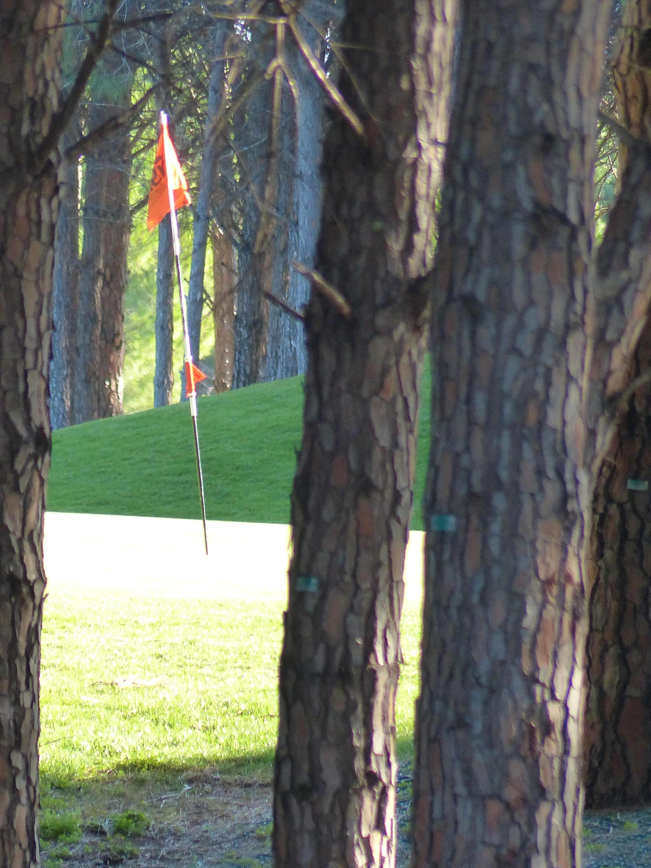 Golf Club Slavia foto 1