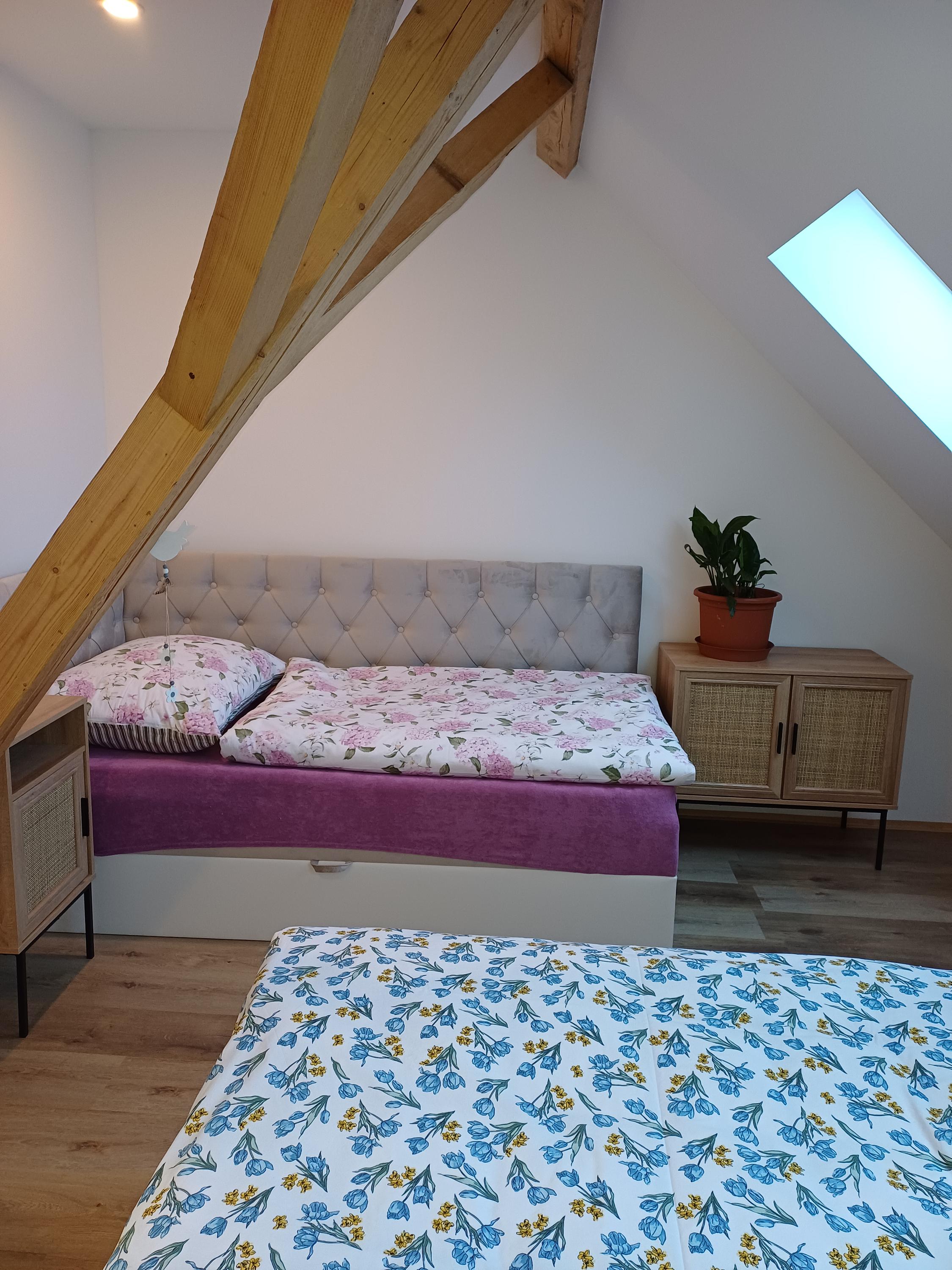 Apartmány Hájenka foto 6