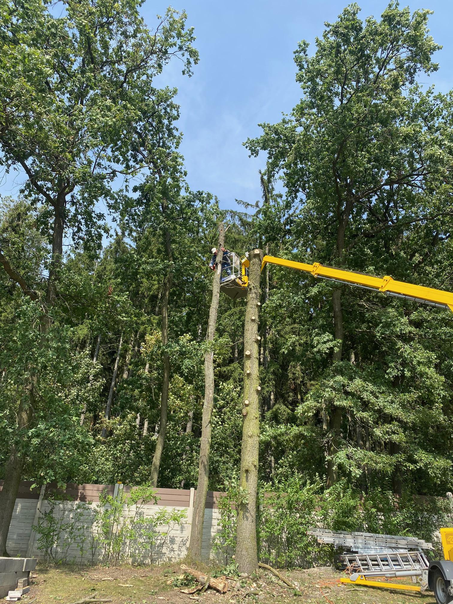 Mostrog s.r.o foto 3