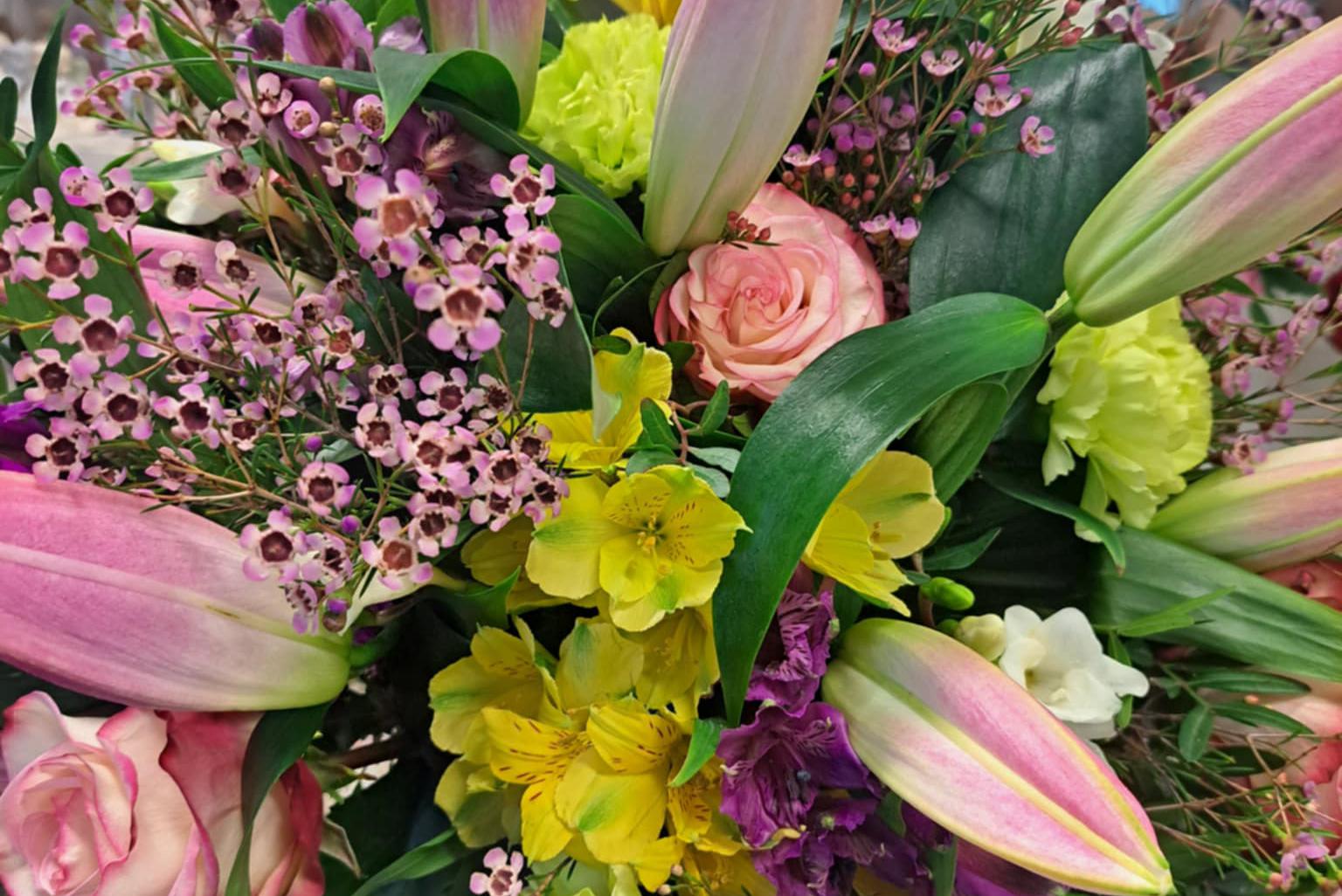 Květy Naší Žabky