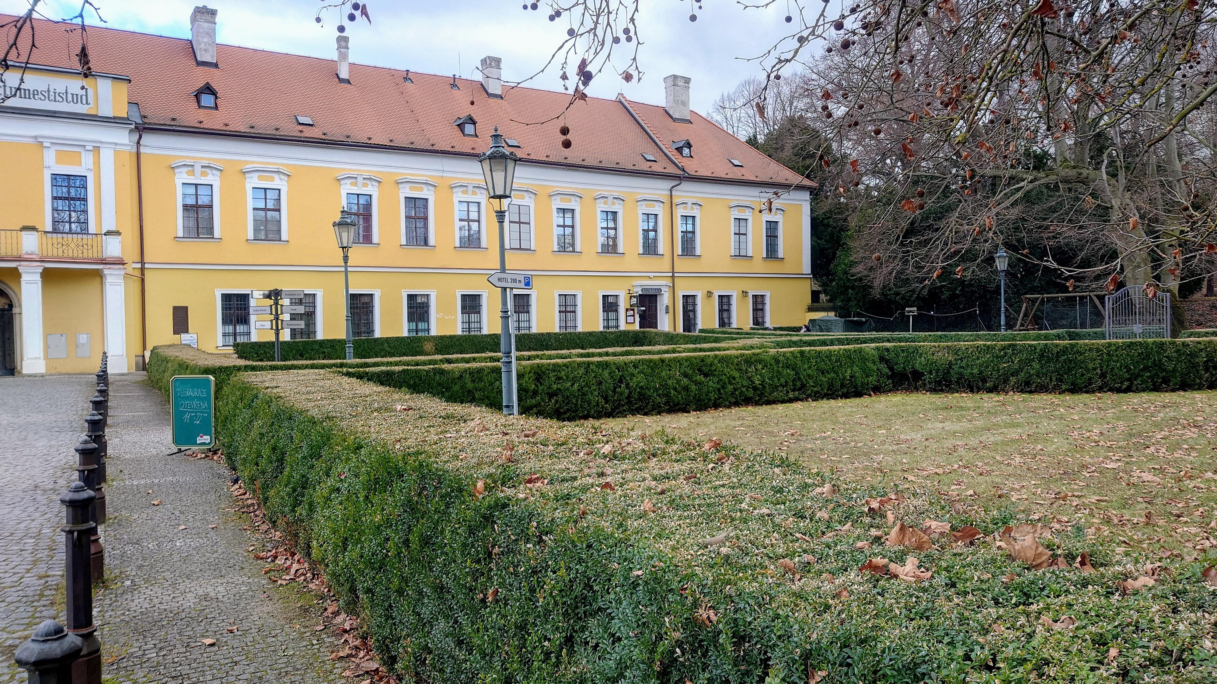 Zámecká růže foto 3