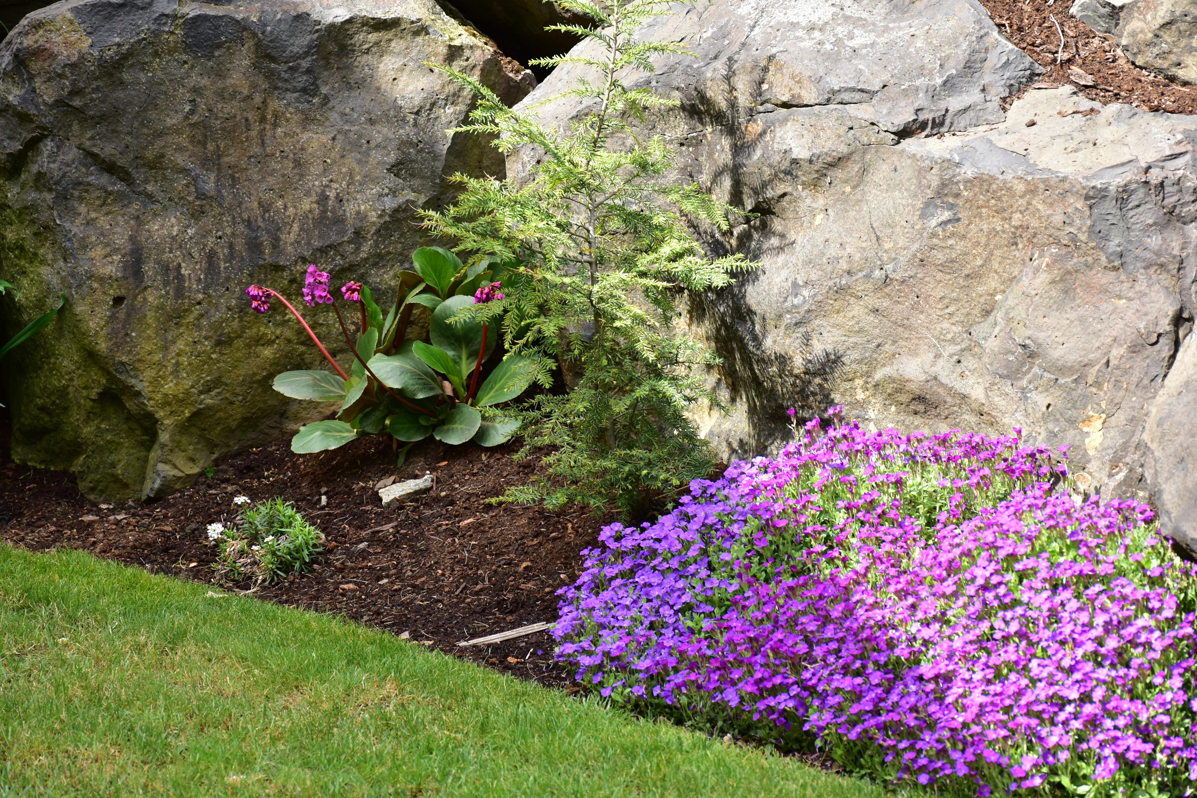 Kopex Zahrady foto 3