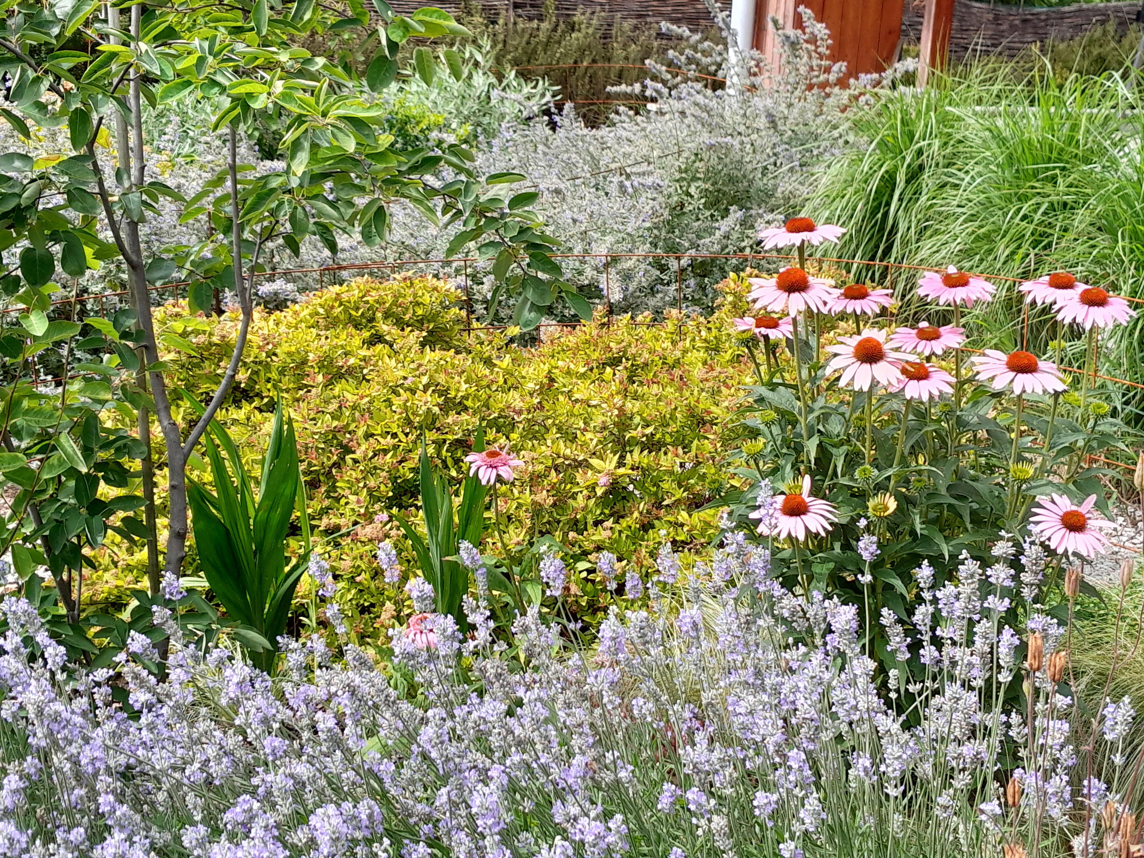 Zahradní návrhy Jana Macková