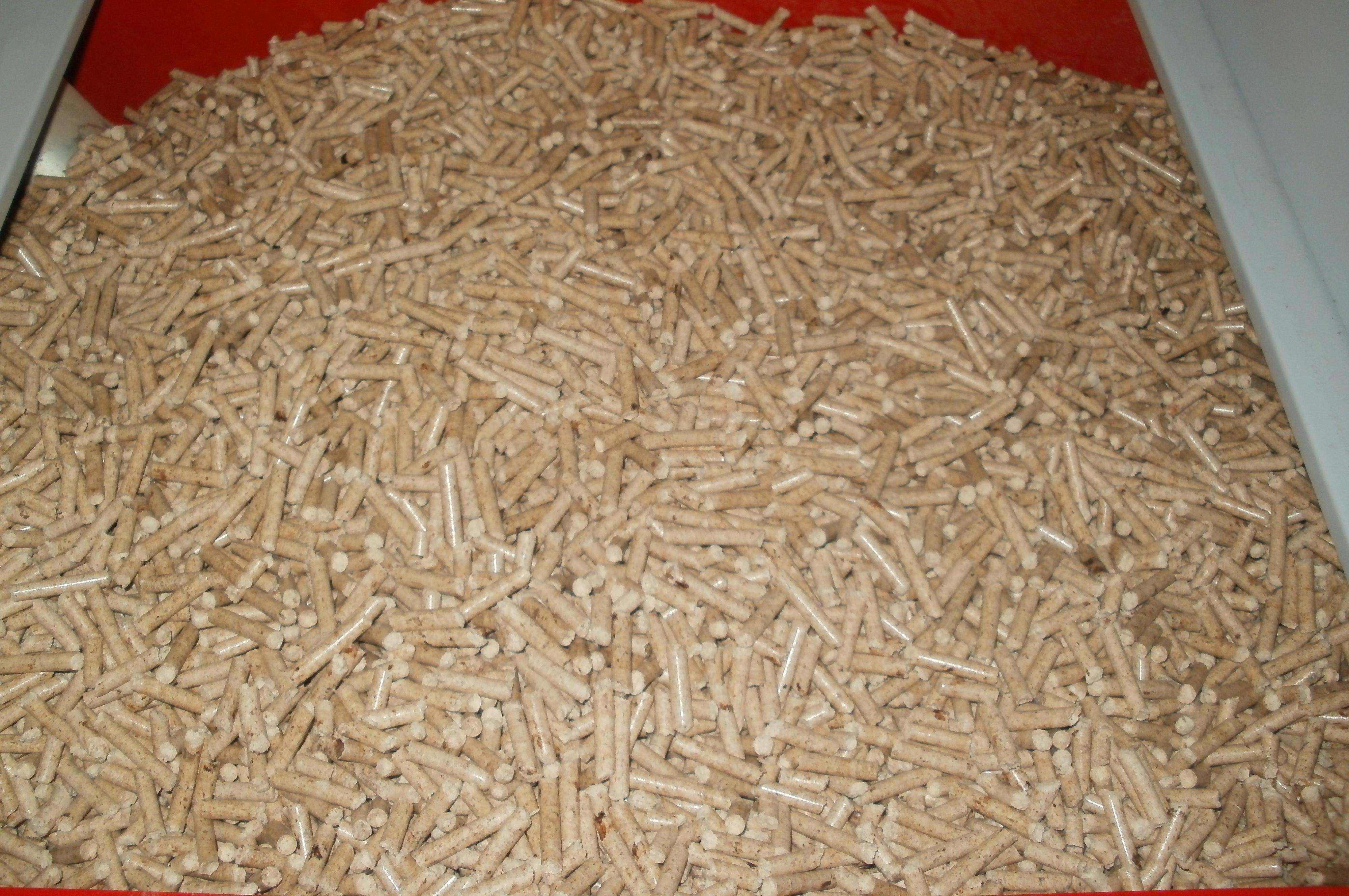 Jiří Hejda - výroba ekopaliv