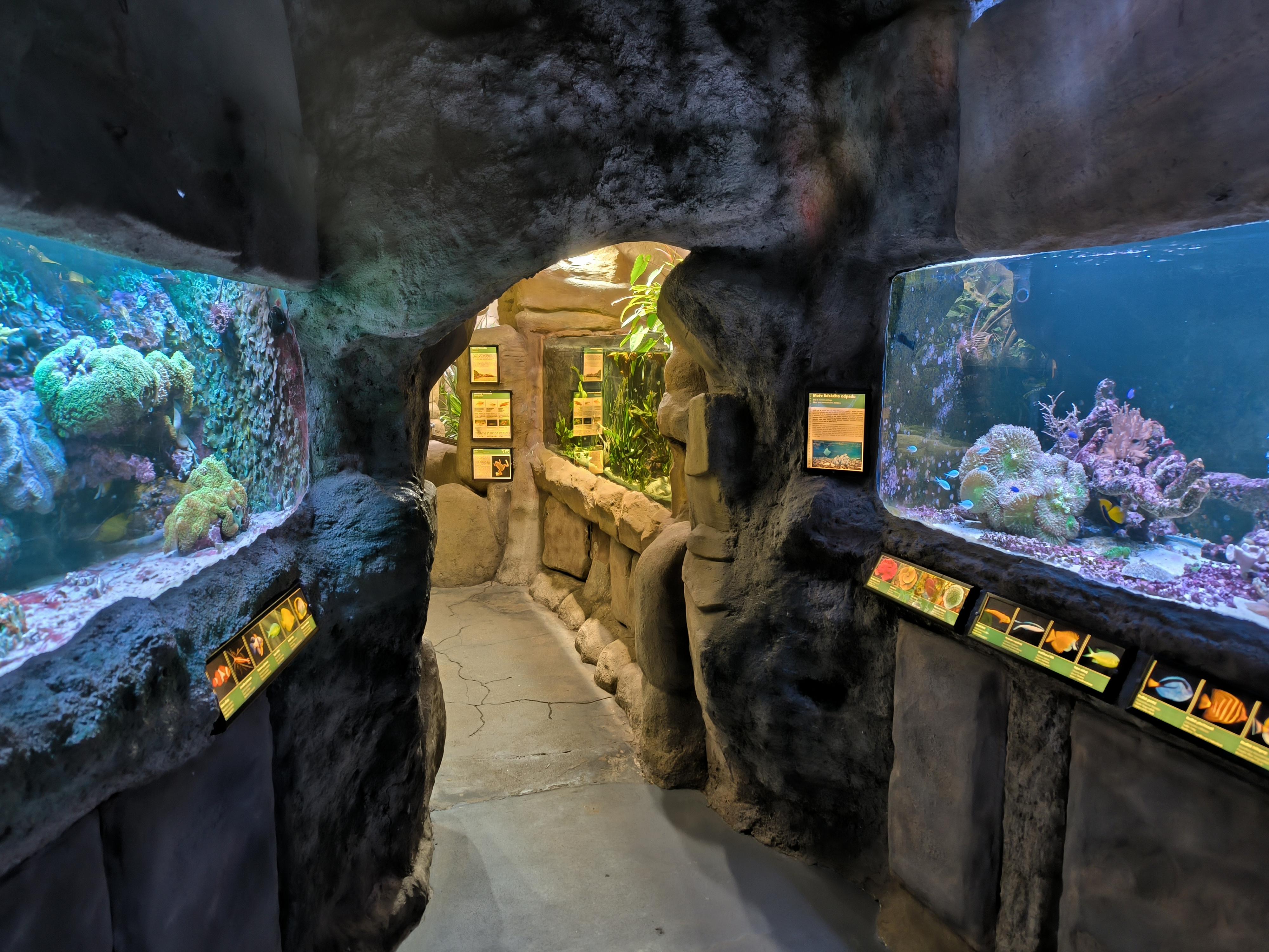 Akva Tera Zoo Plzeň foto 3