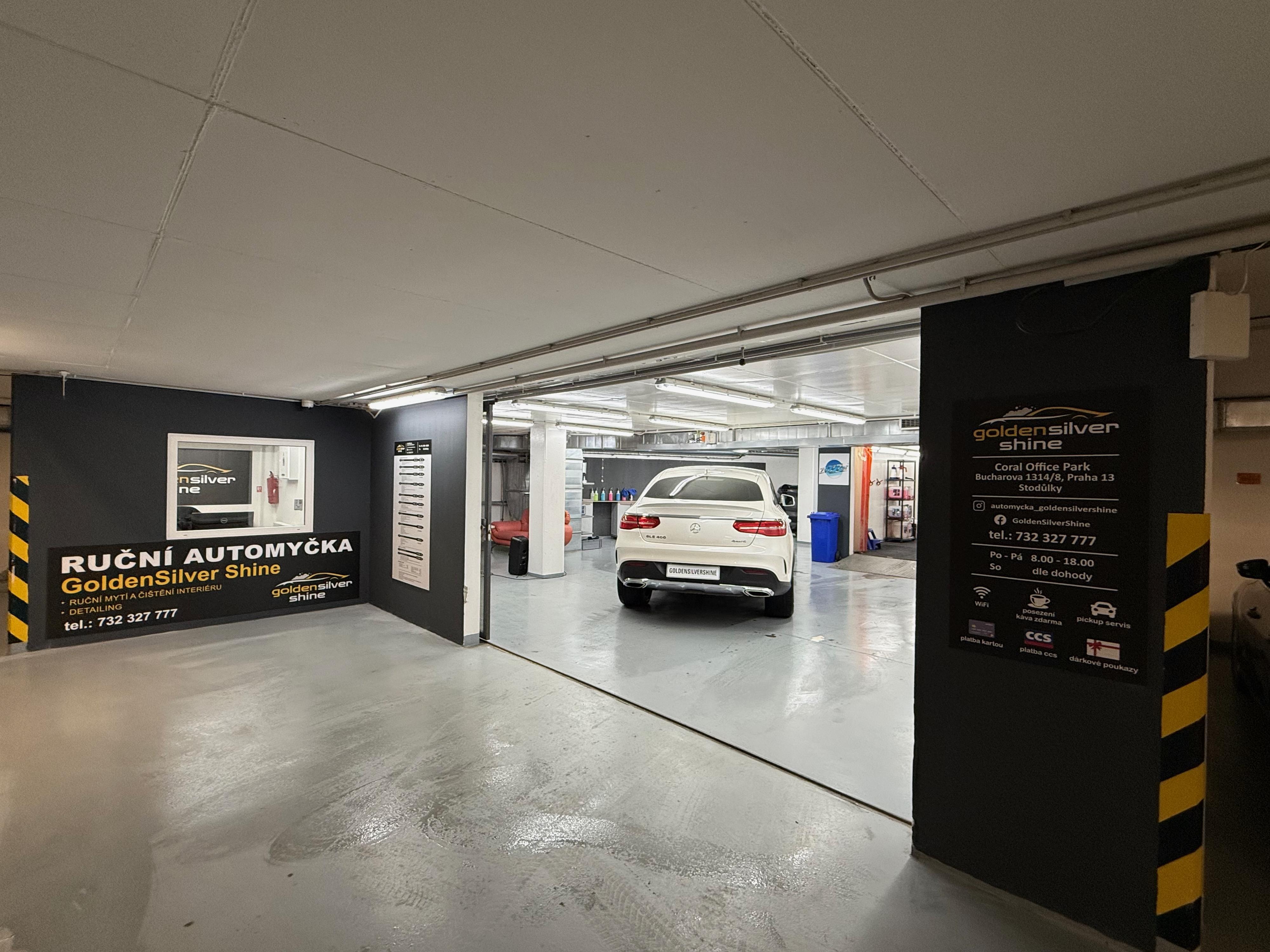 Goldensilvershine foto 5