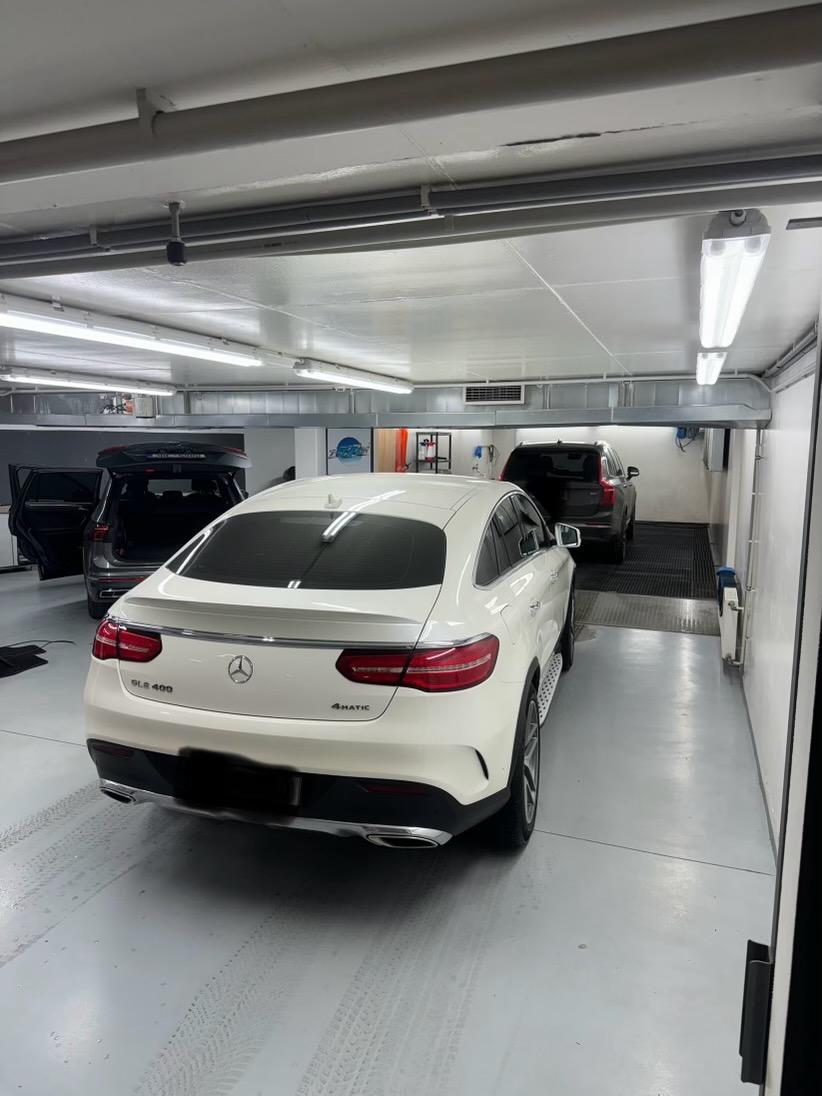 Goldensilvershine foto 2