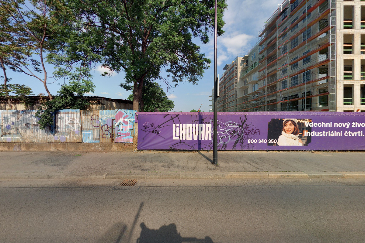 Dog in Dock Lihovar foto 6