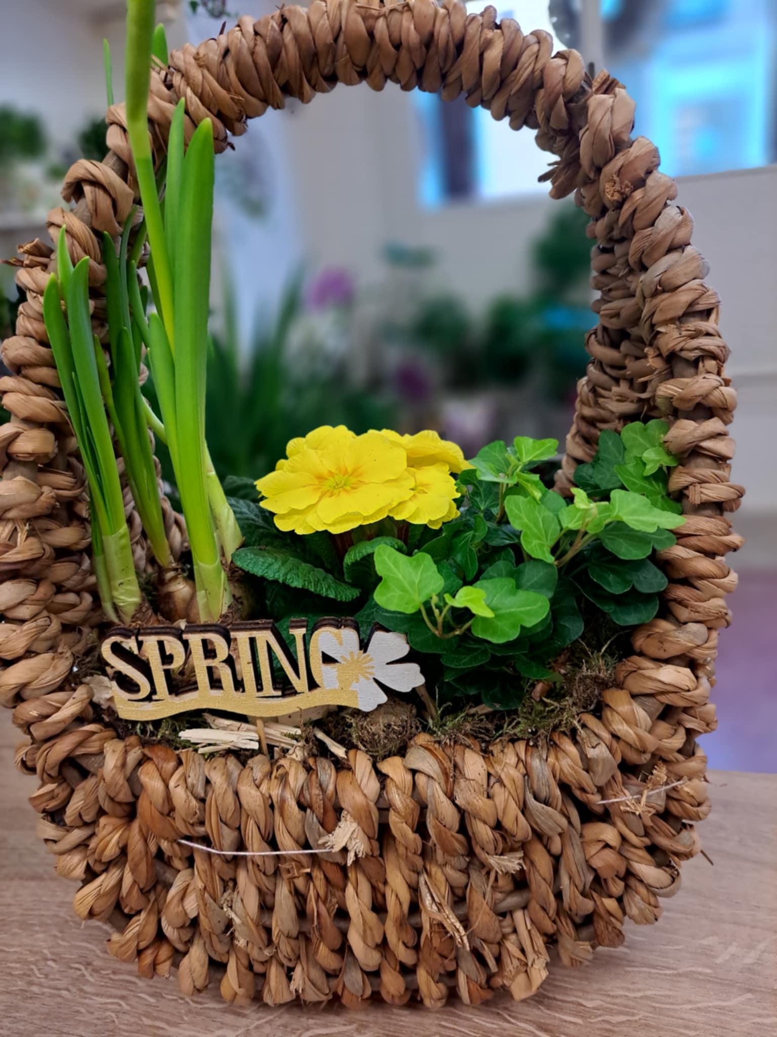 Květy Naší Žabky foto 2