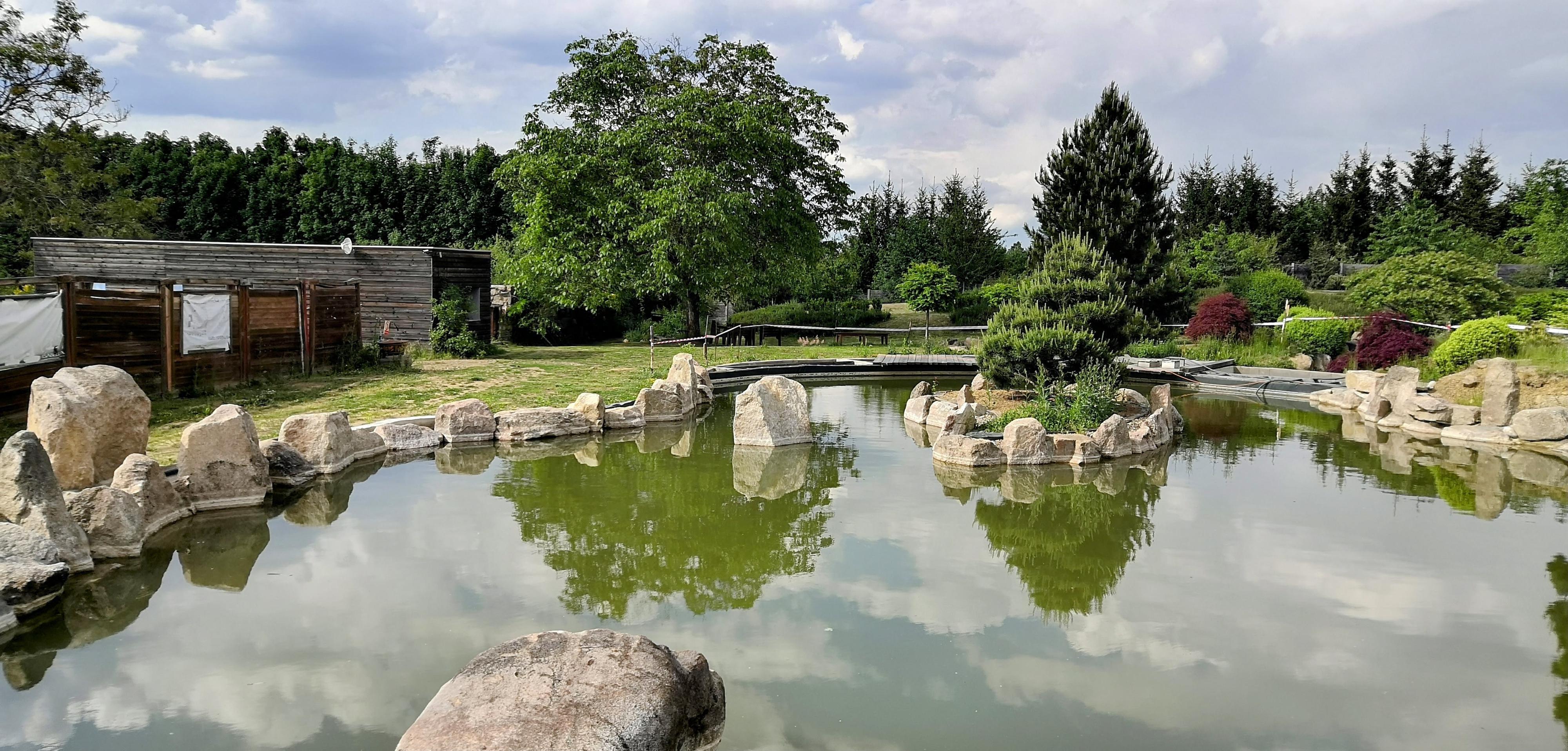Aizen - japonská zahrada, o.p.s. foto 4