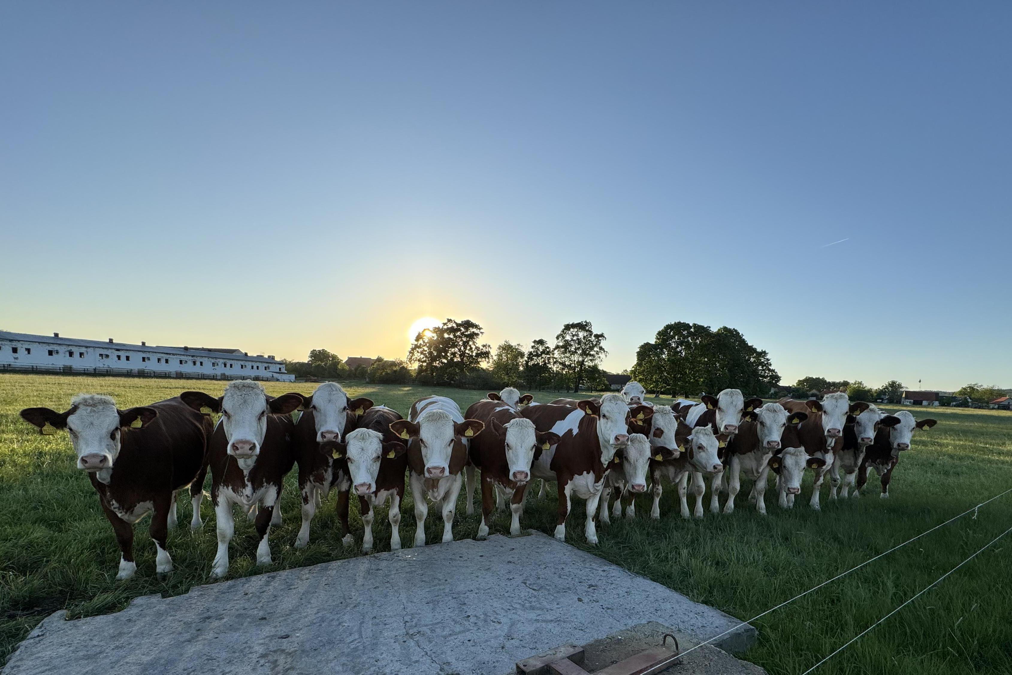 Plody z vody - Farma Chvalešovice foto 1