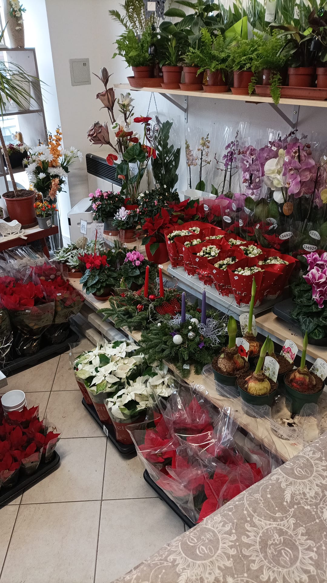 Květinářství Iva Černá foto 3
