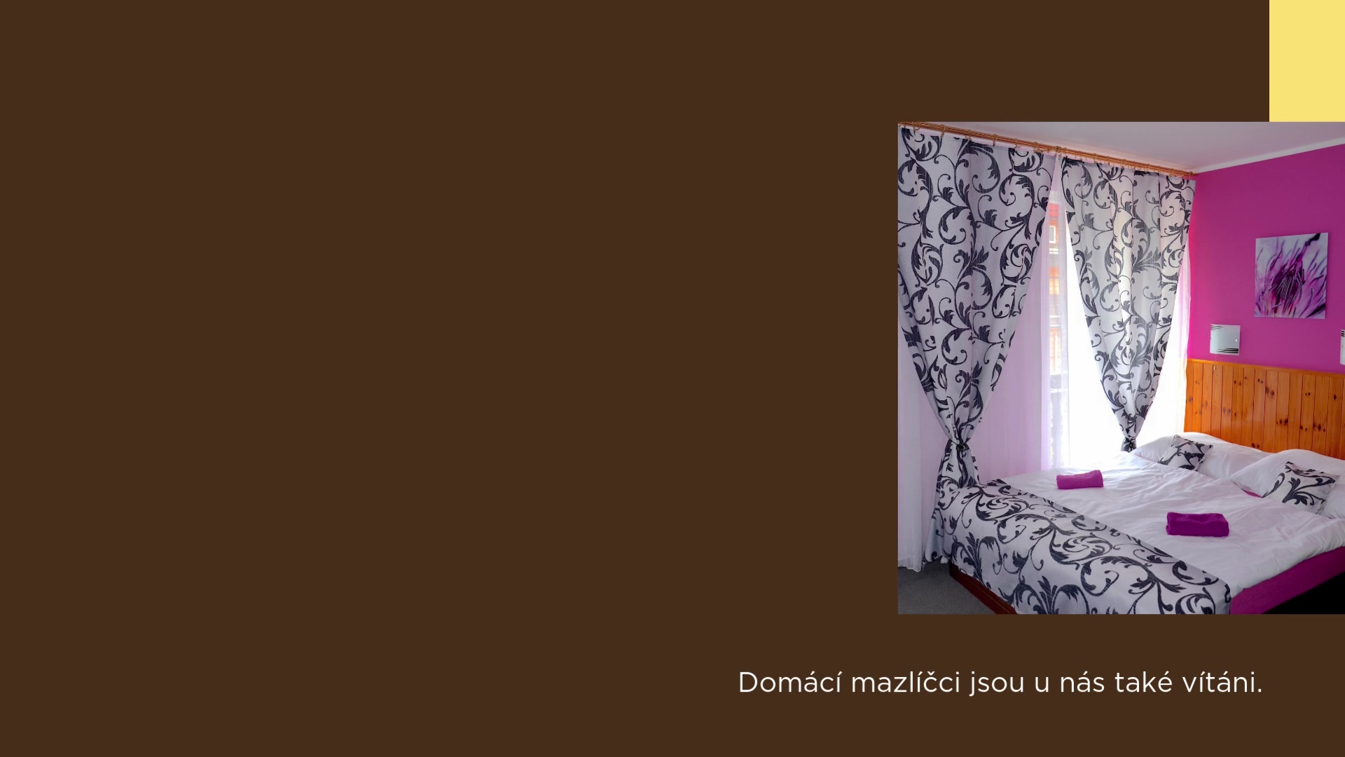 Penzion Pod Boubínem foto 2 (náhled videa)