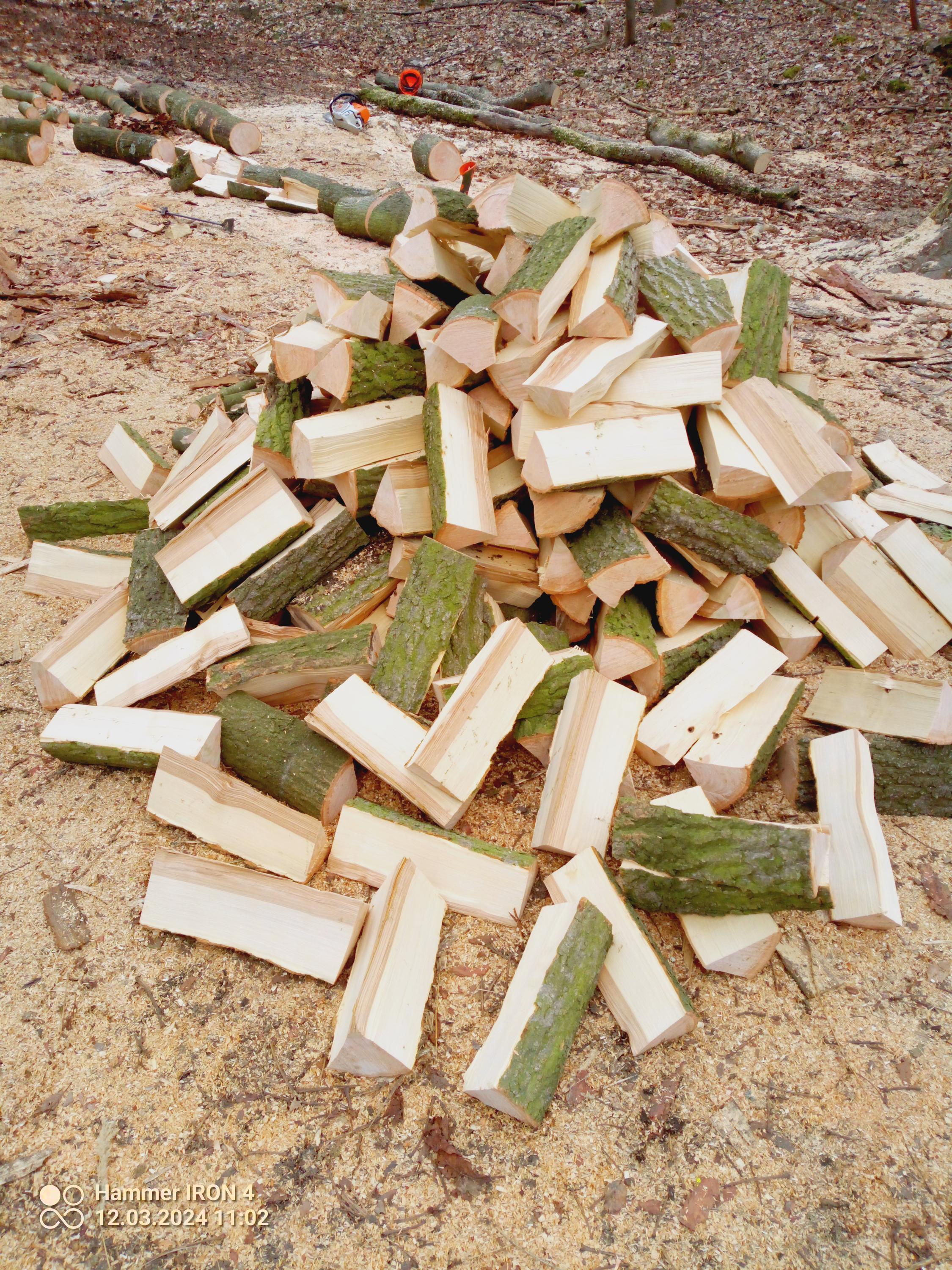 Palivové dřevo LOVO foto 2