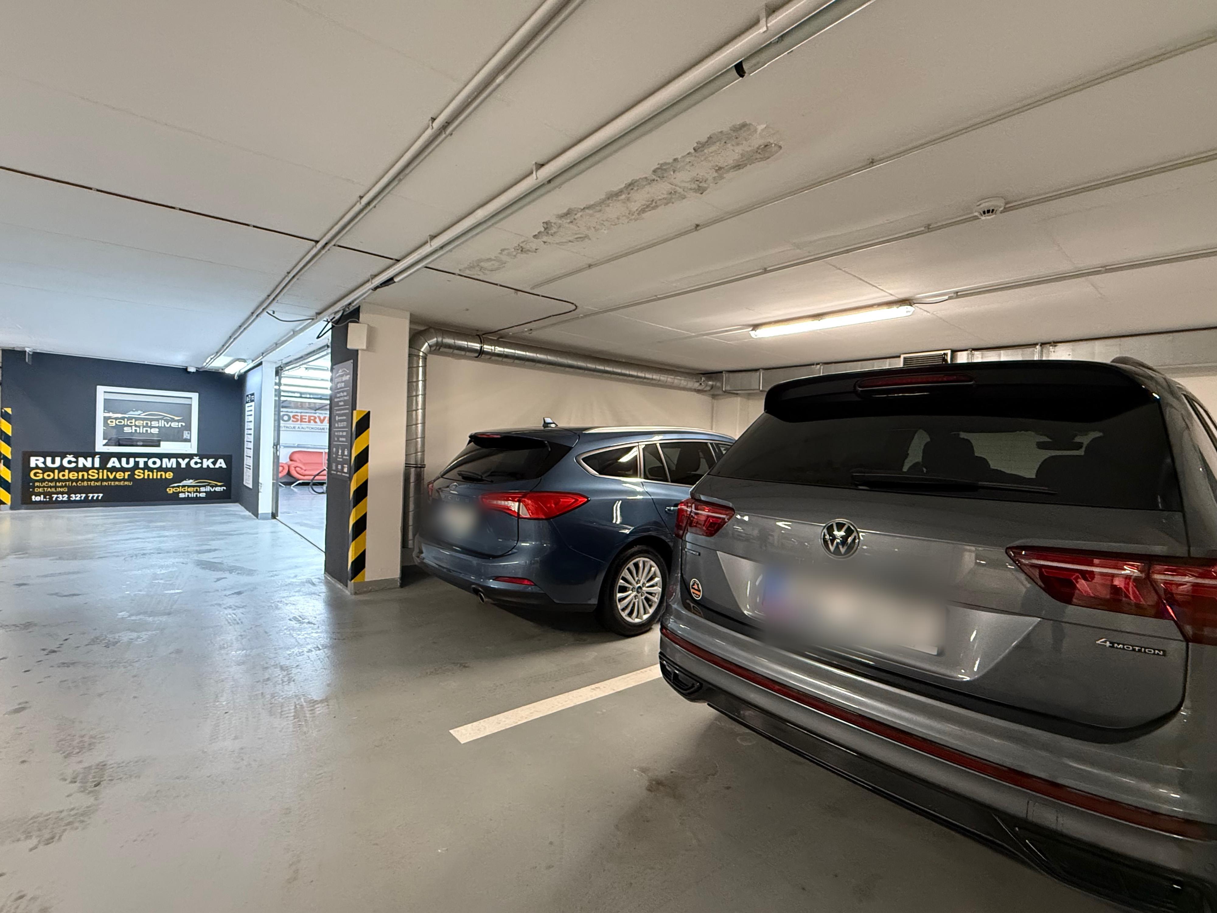 Goldensilvershine foto 6