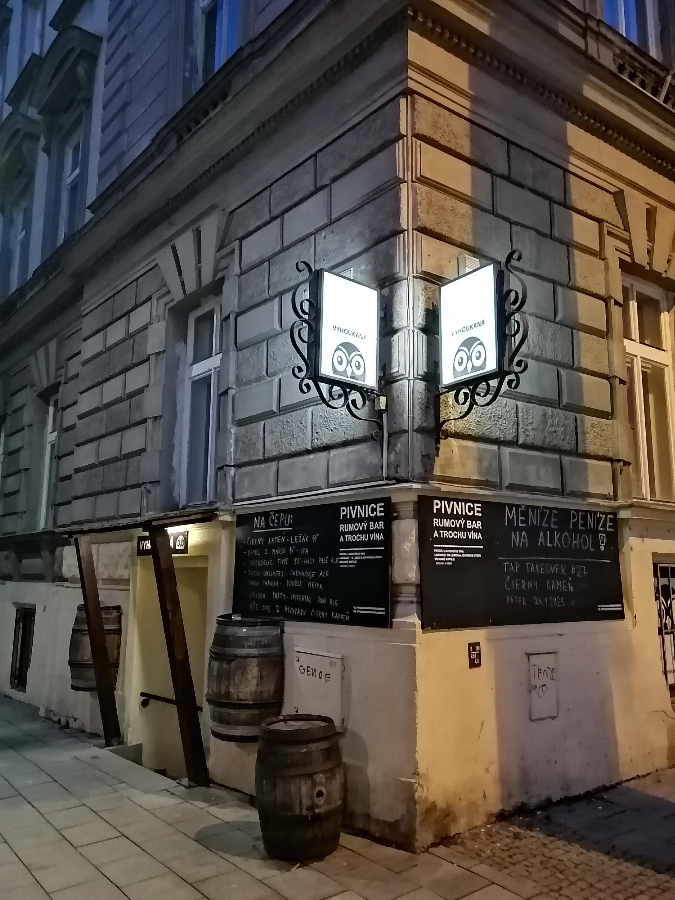 Vyhoukaná sova foto 5