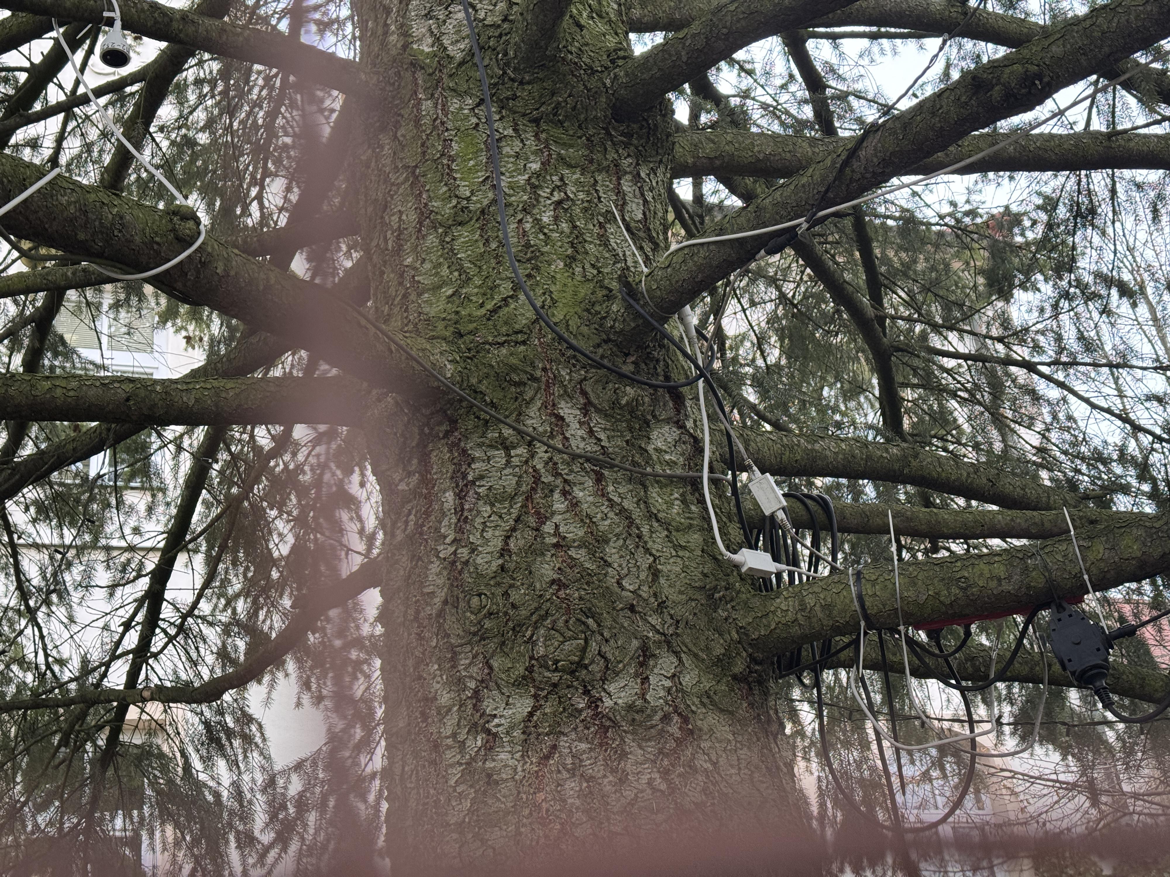 ZŠ a MŠ Olomouc, Dvorského foto 4