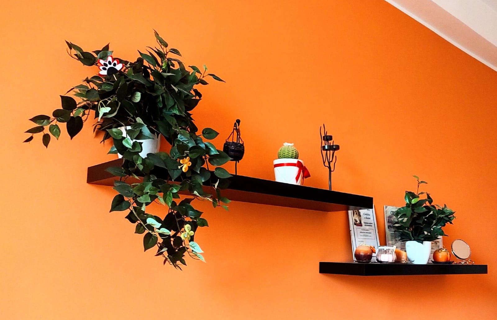 Kosmetické studio Květa foto 6