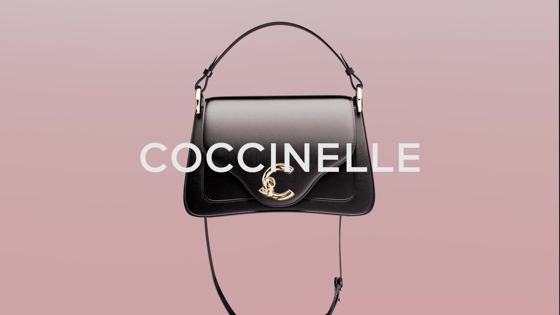 COCCINELLE foto 2 (náhled videa)