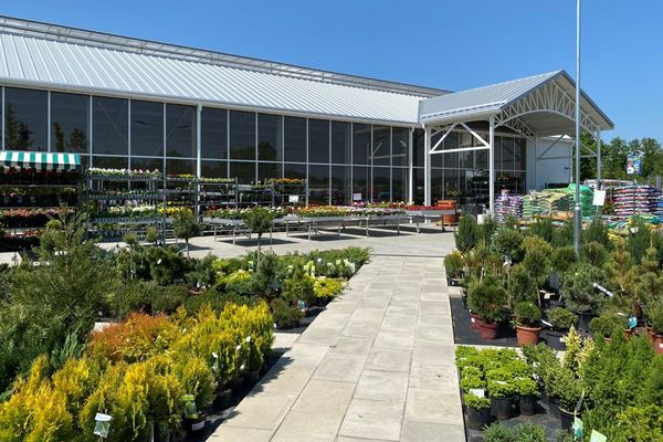Zahradnictvi Veltrusy (vaši zahradu, Zahradnictví Veltrusy, které budou, maliny ostružiny, maliny ostružiny rybíz) Zahradnictvi Veltrusy