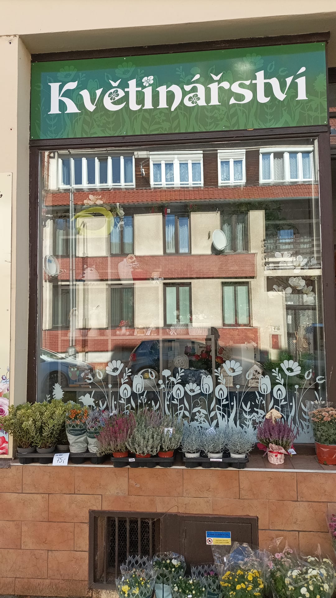 Květinářství Iva Černá foto 2