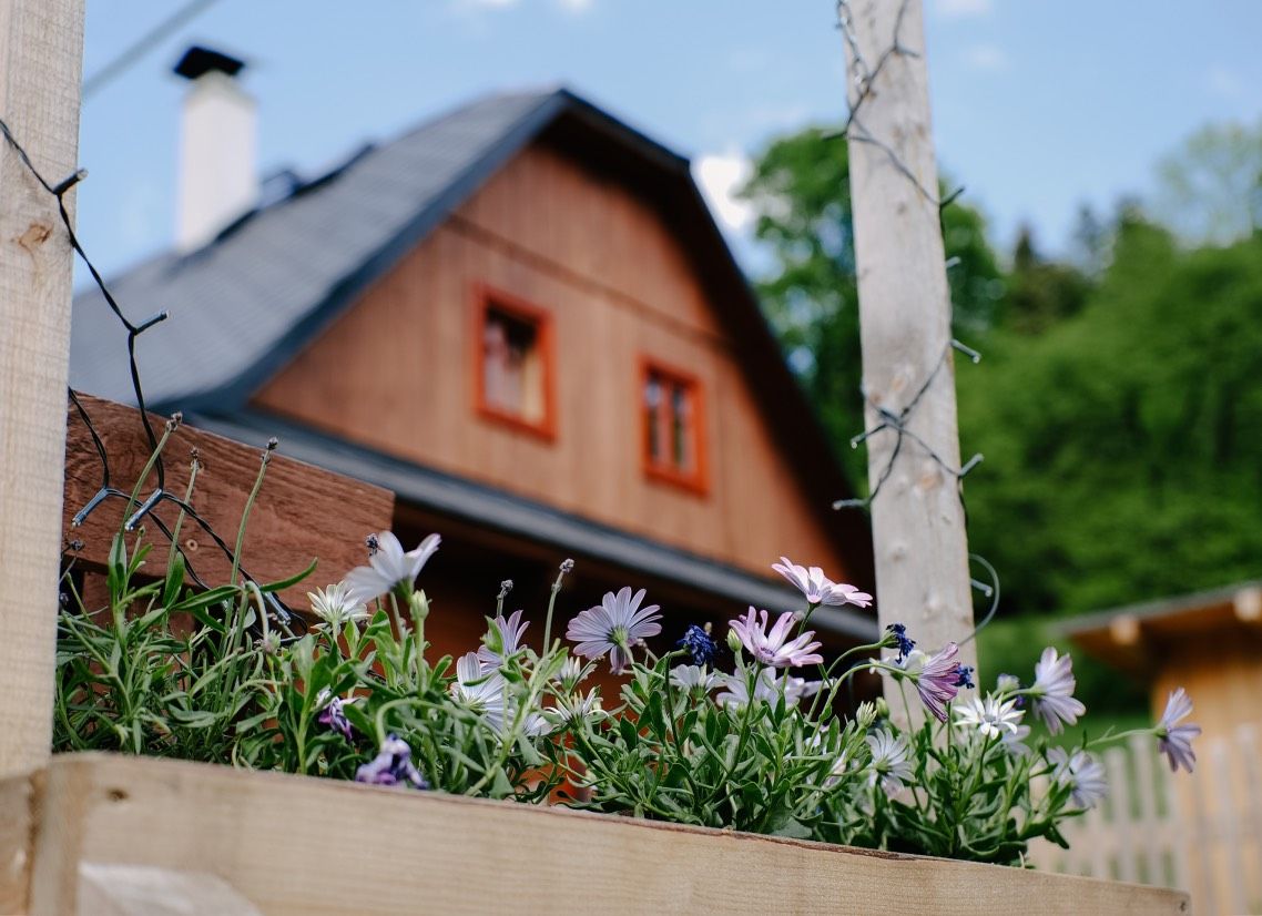 Forest Roubenka foto 5