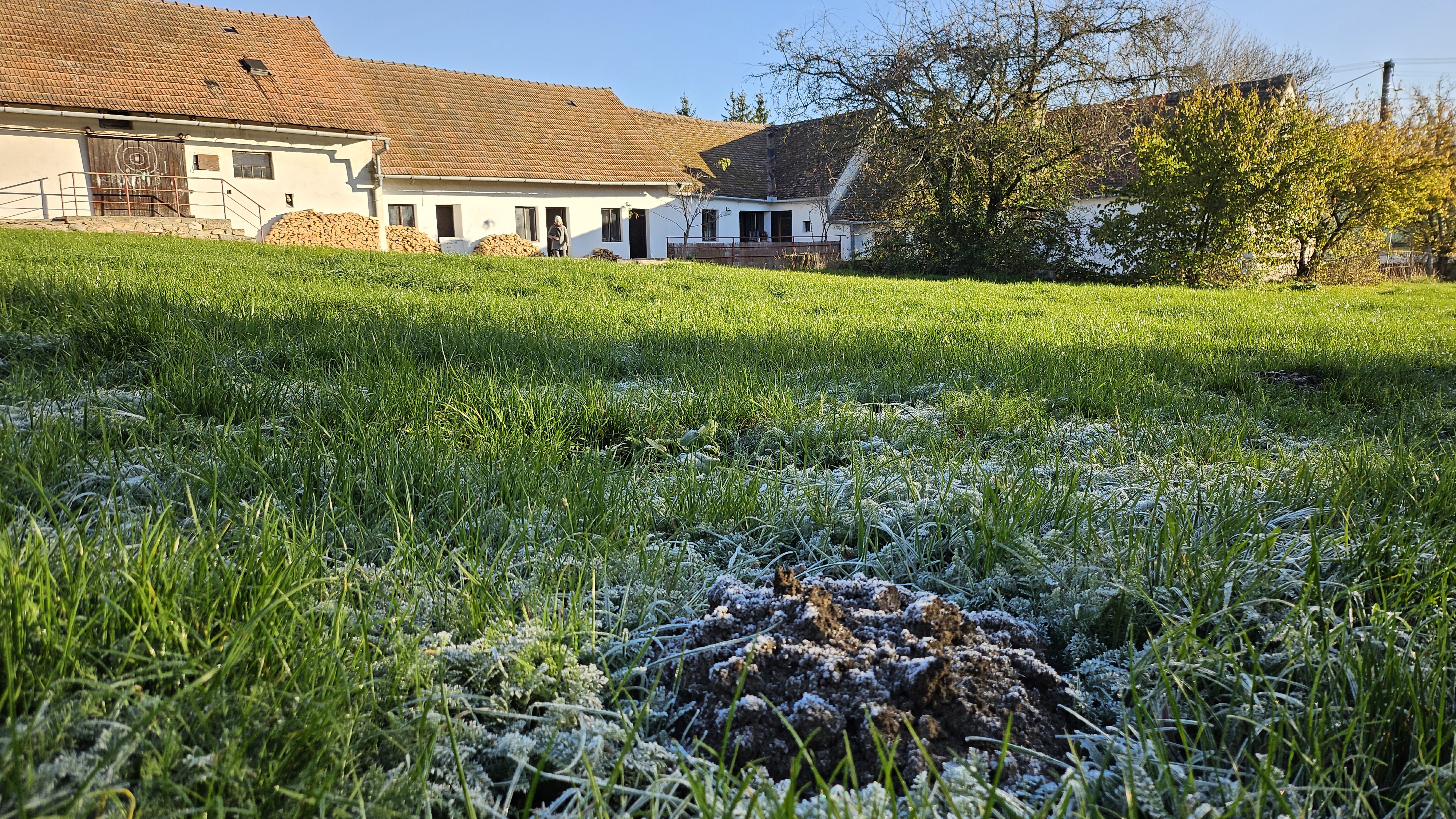 Školka Dobromysl foto 3