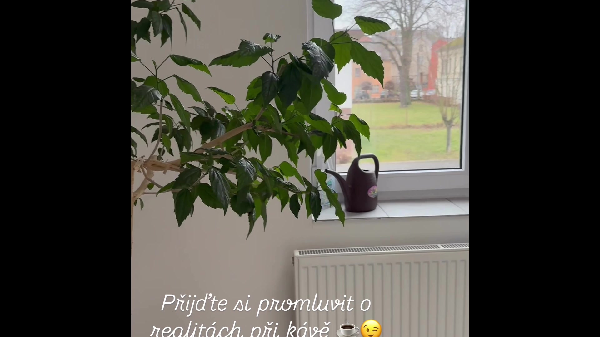 REALITY MOZAIKA foto 2 (náhled videa)