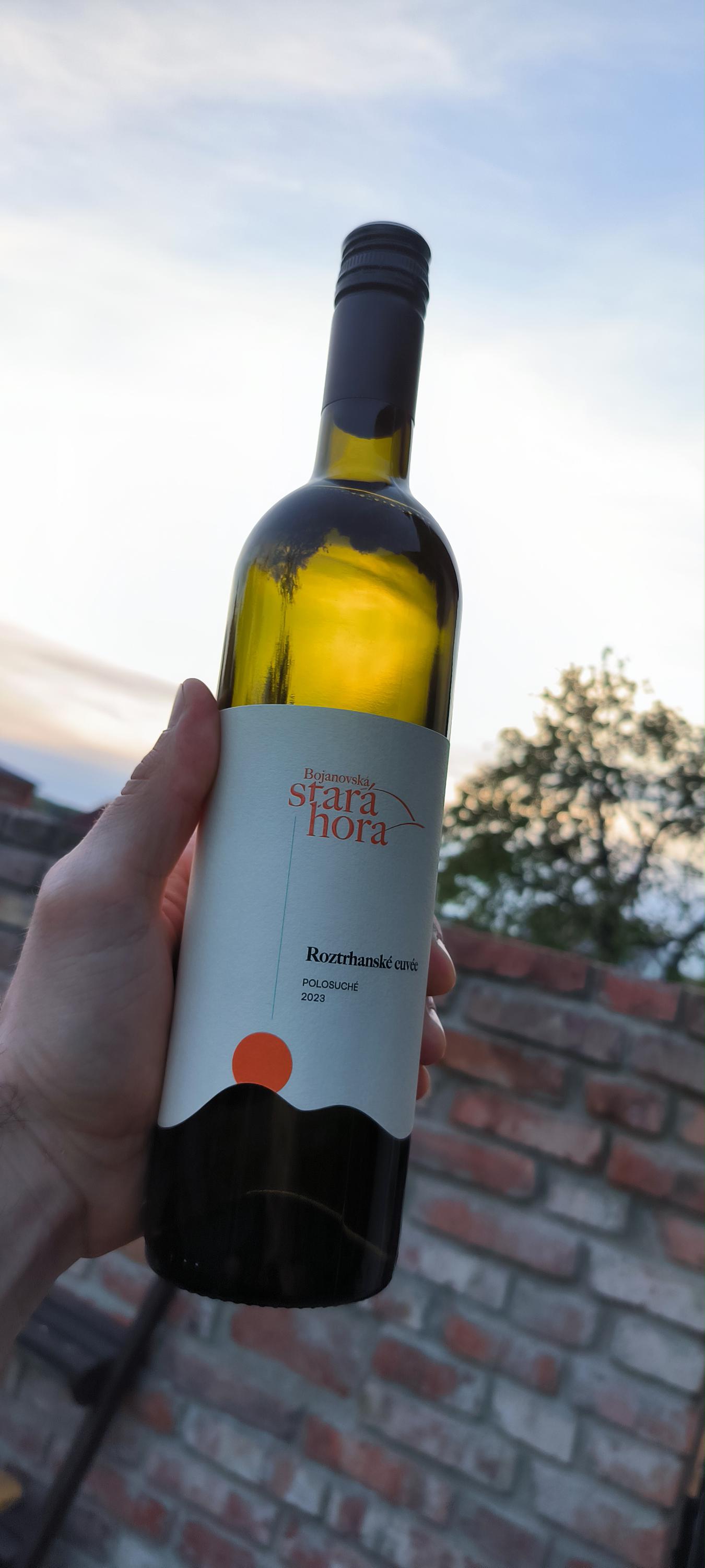 Bojanovská Stará hora foto 2