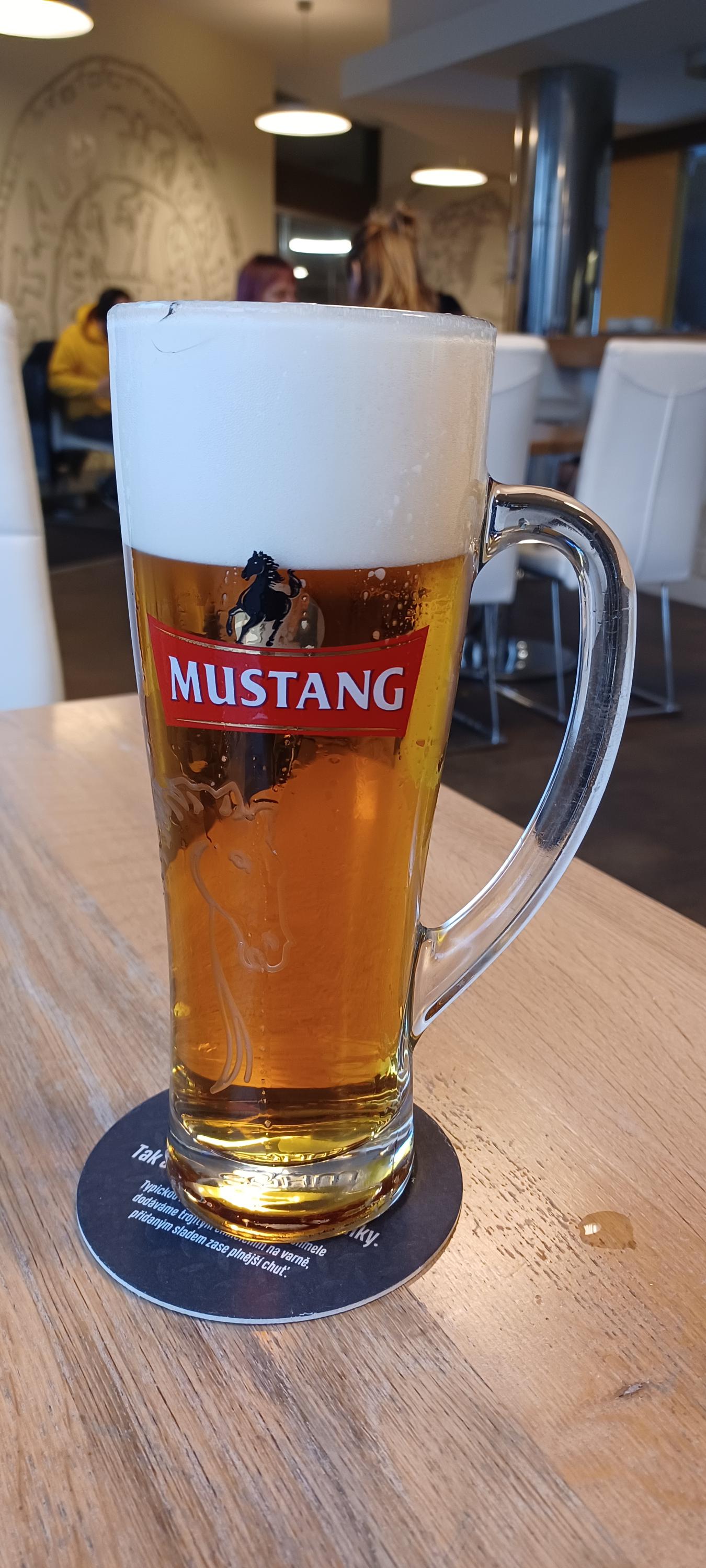 Café Restaurant Mincovna foto 3