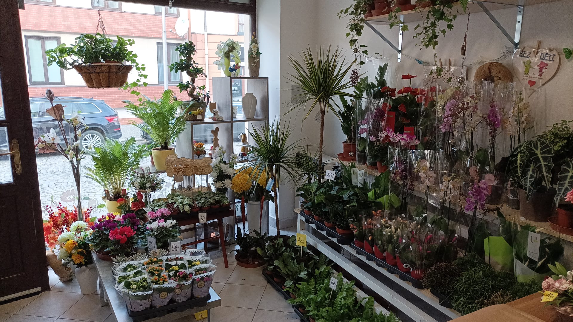 Květinářství Iva Černá