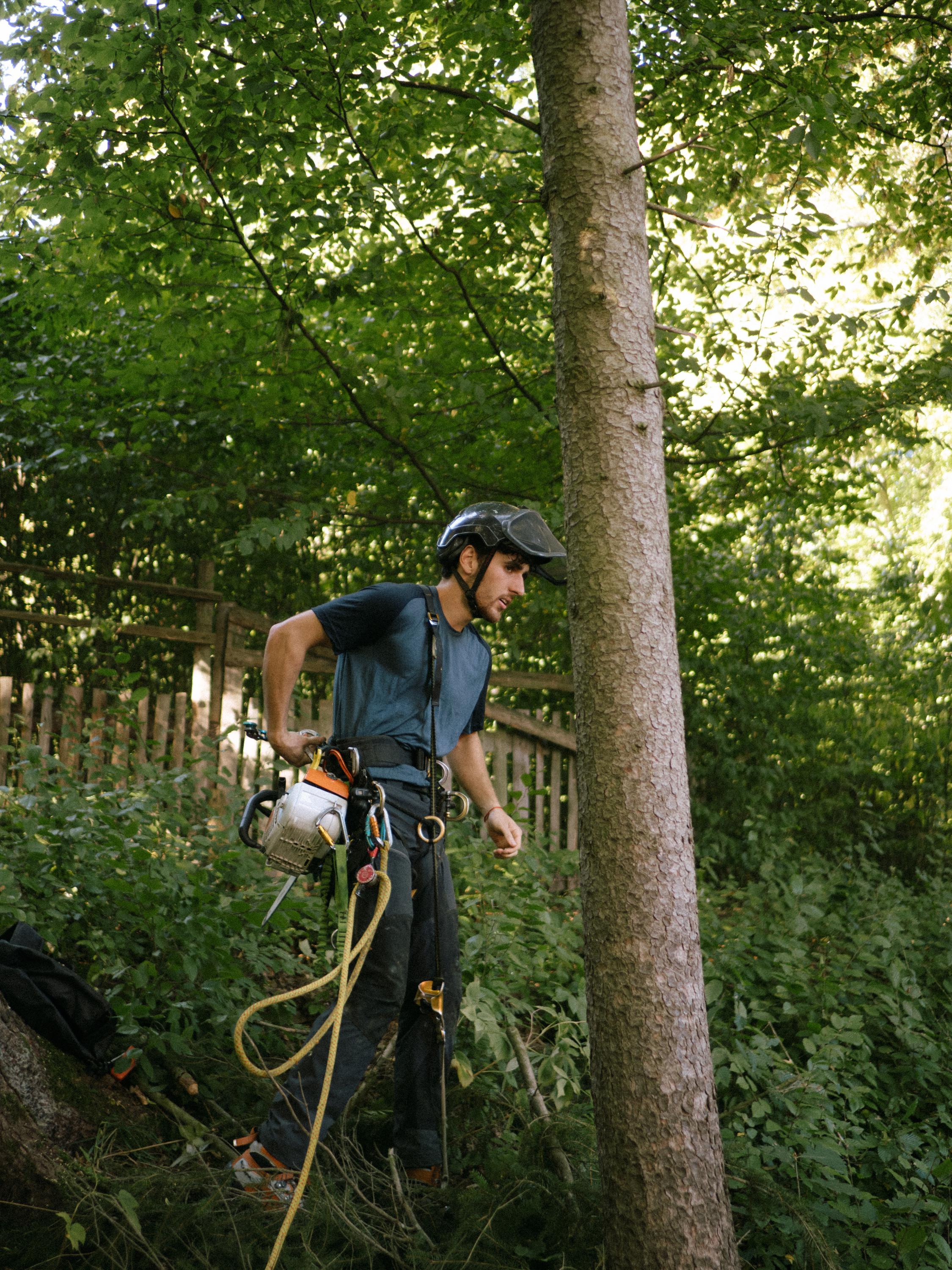 Roman Vasiljev - Práce na stromě foto 4